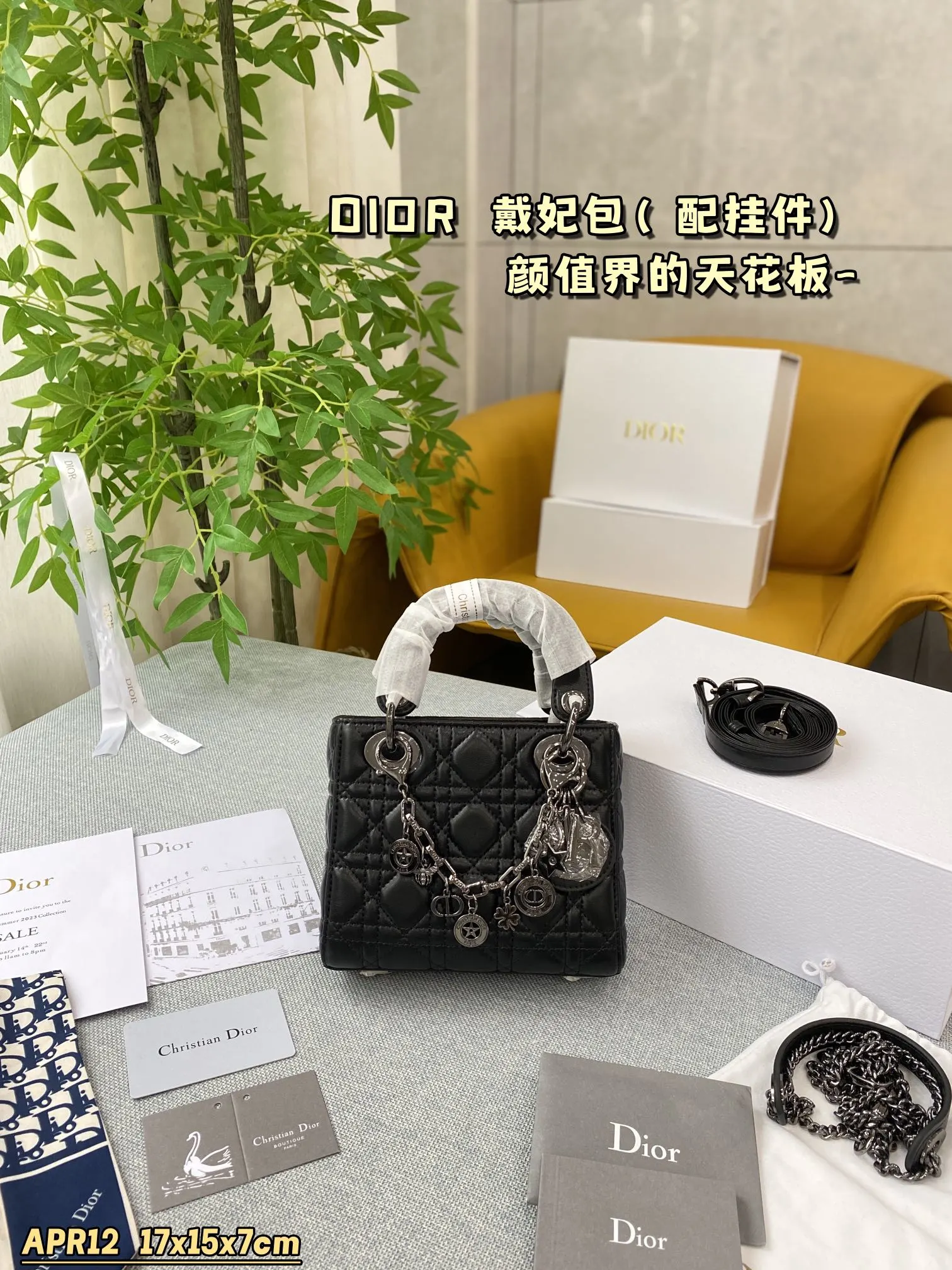 Dior Bag — 05892569