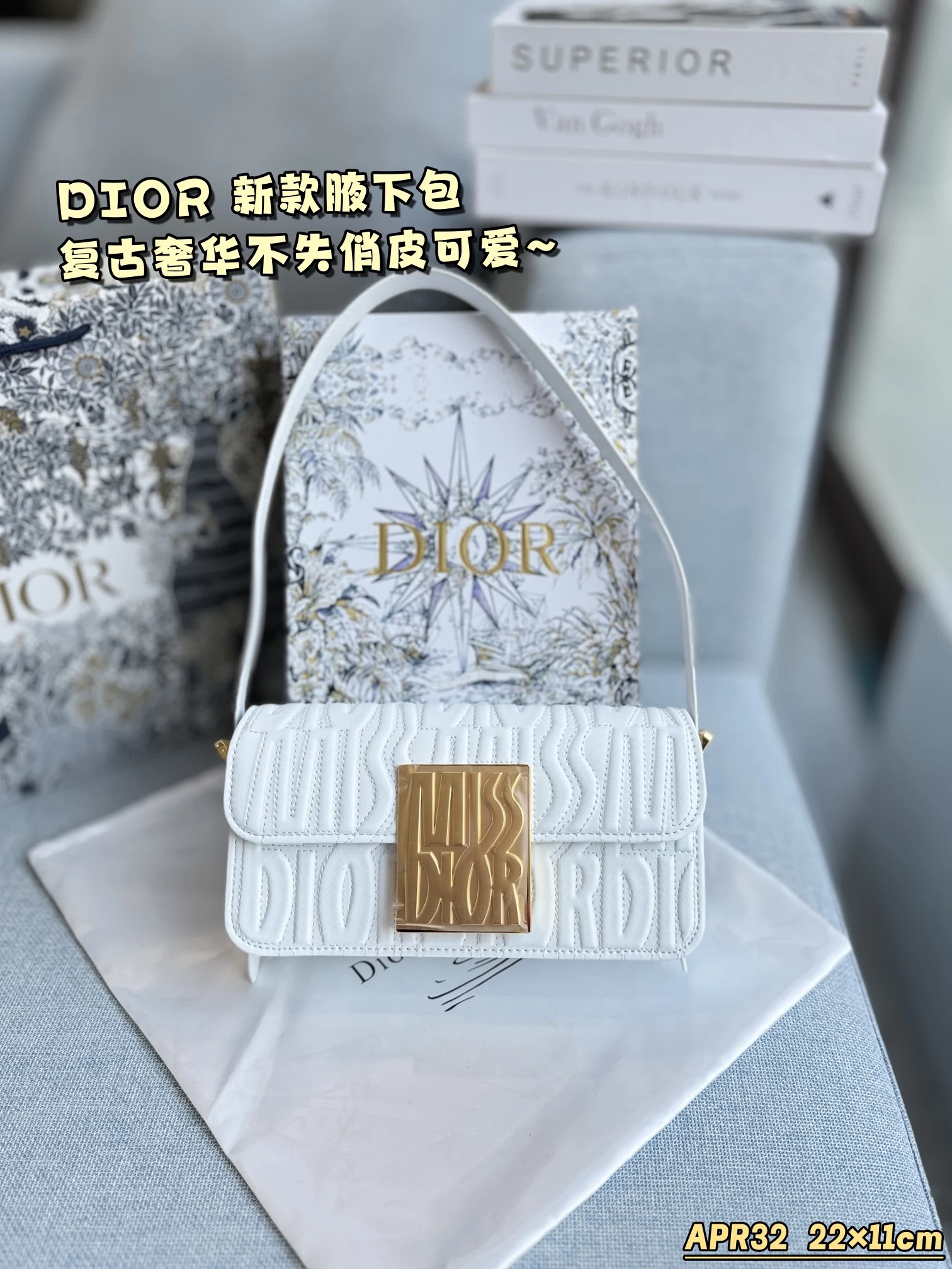 Dior Bag — a9f65312