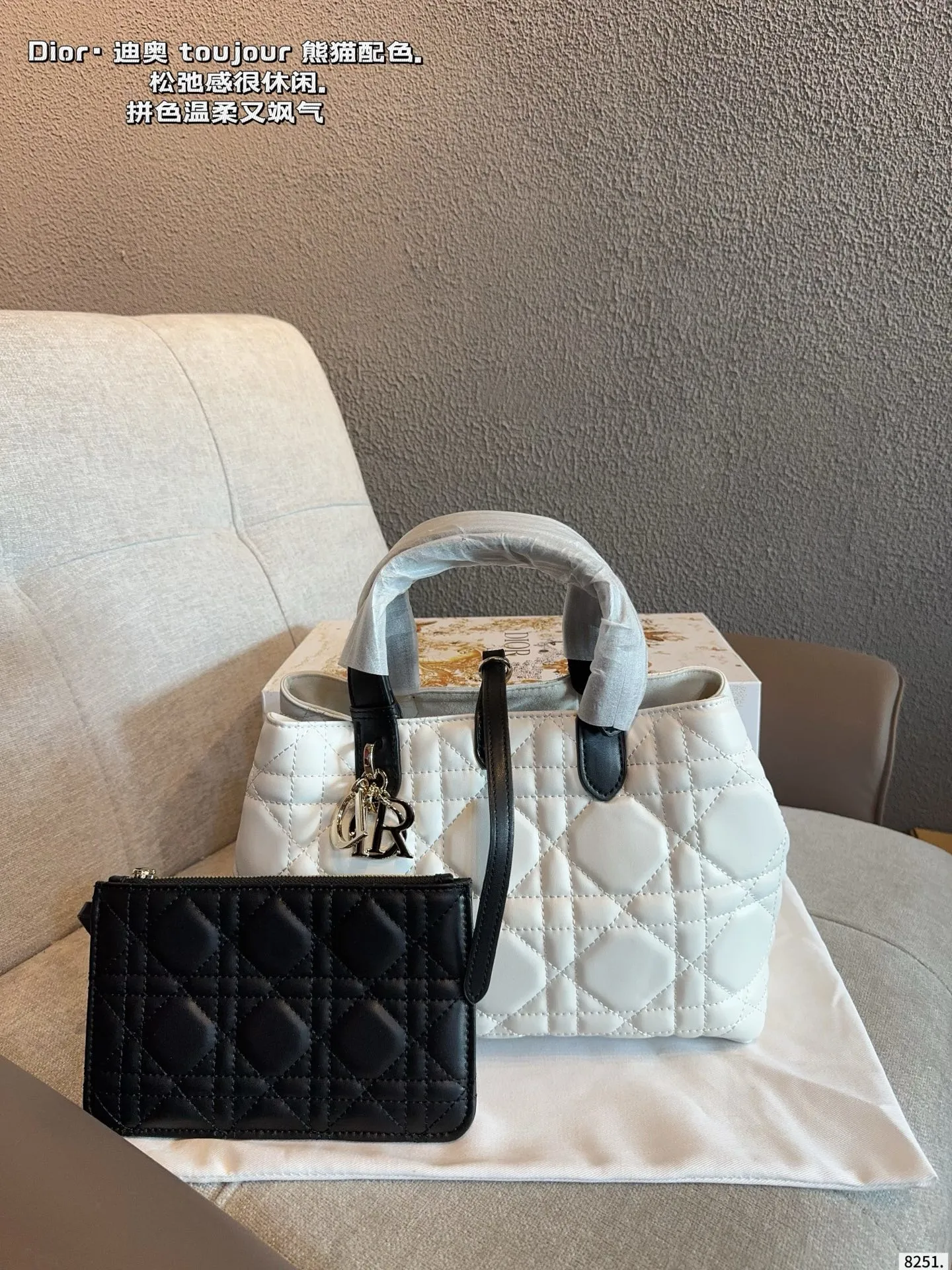 Dior Bag — 3a19c39f