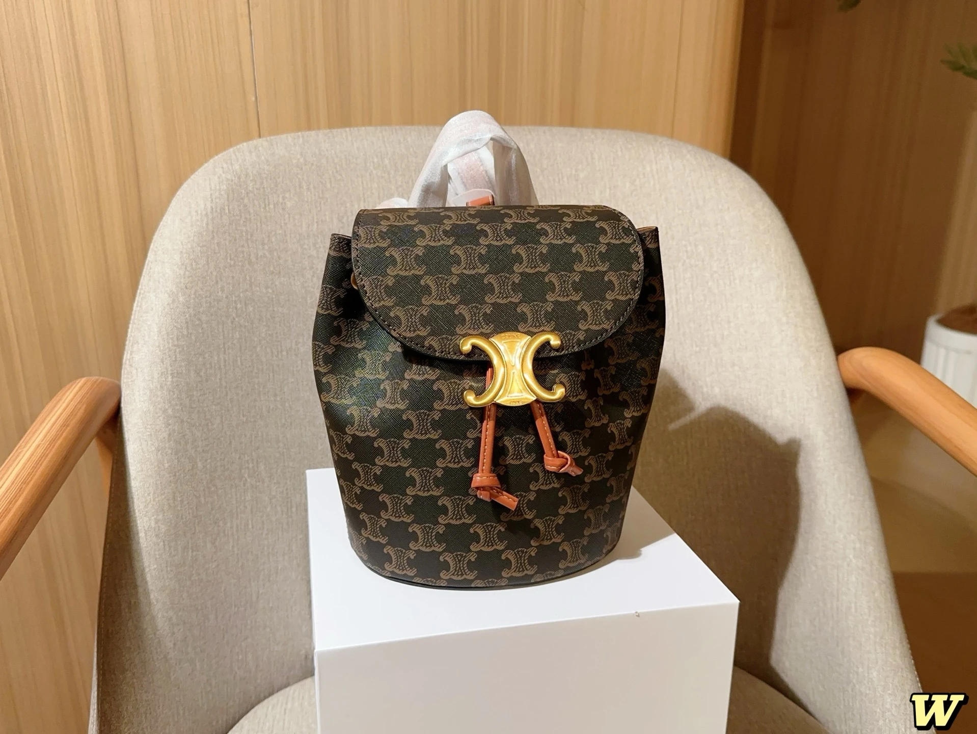 Celine Bag — c6ba06d1