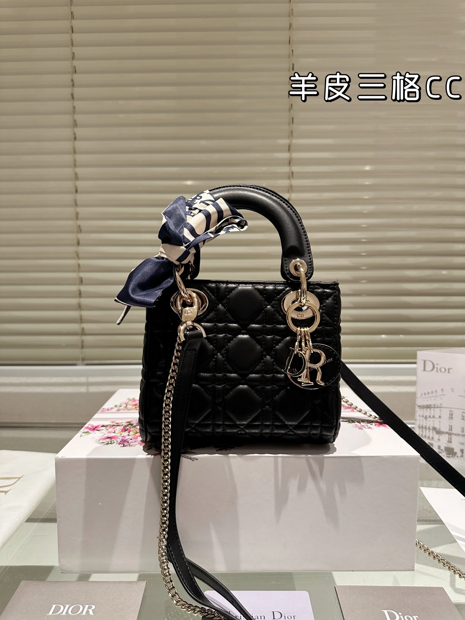 Dior Bag — 263d41db