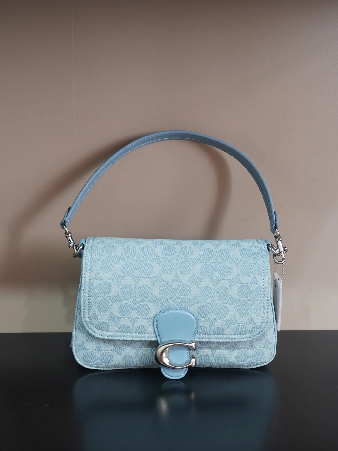 Coach Bag — 14fcb066