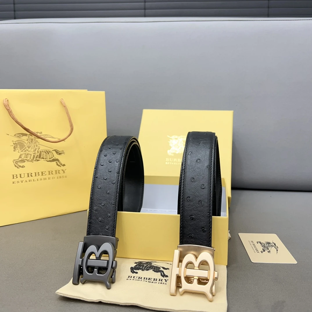 Burberry Bag — 5f81caf4