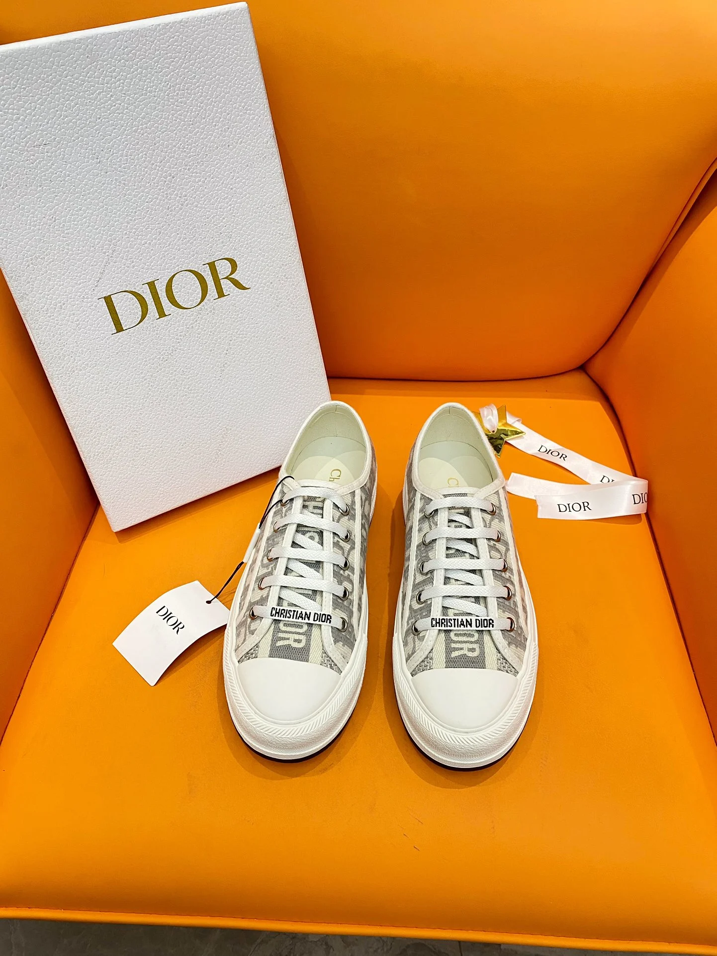 Dior Sneakers — a9501f22