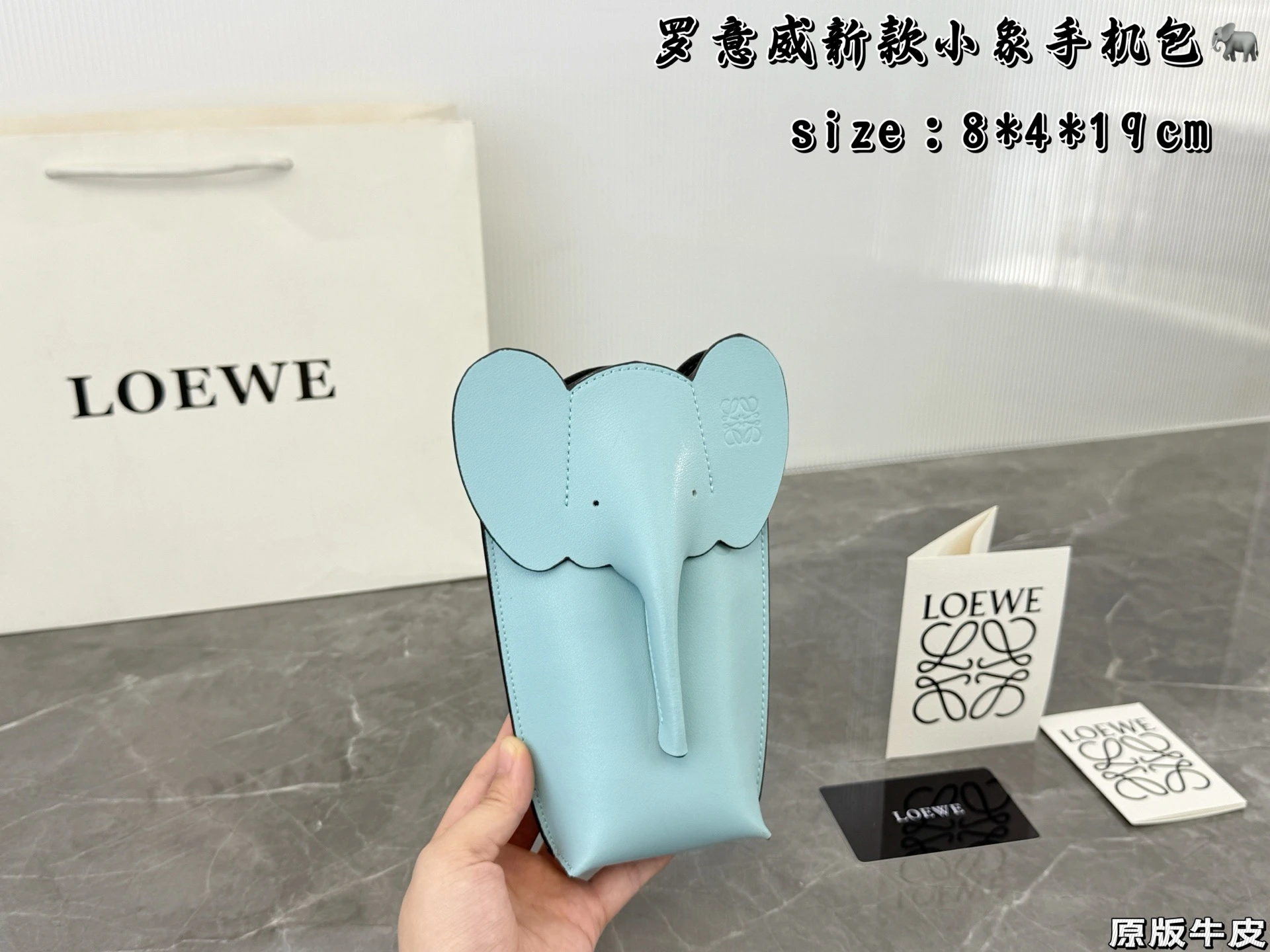 Loewe Bag — ad039d08