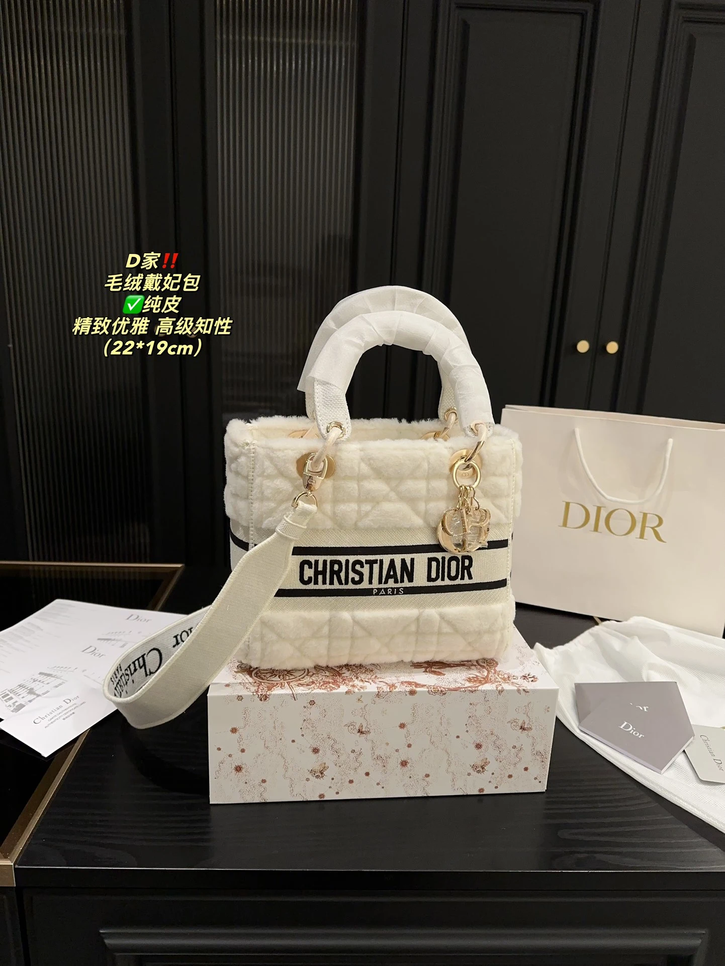 Dior Bag — e044310e