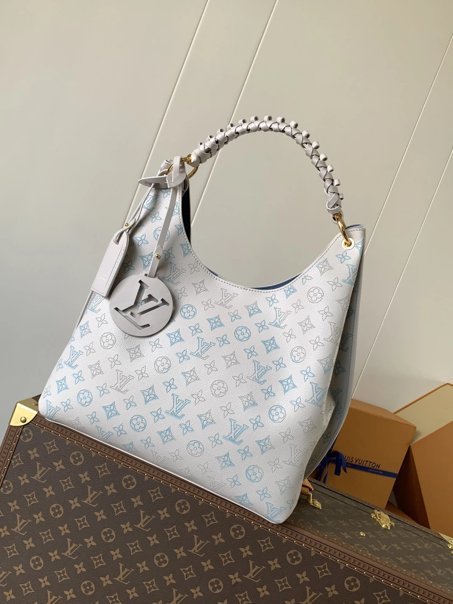 Louis Vuitton Bag — 289d4860