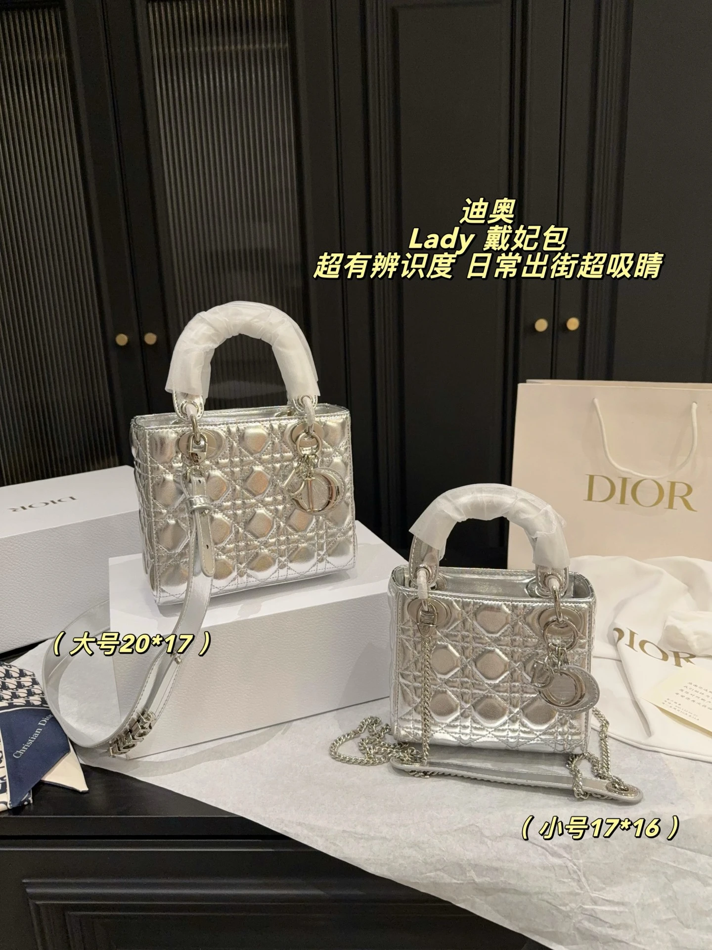 Dior Bag — 8a16fbed
