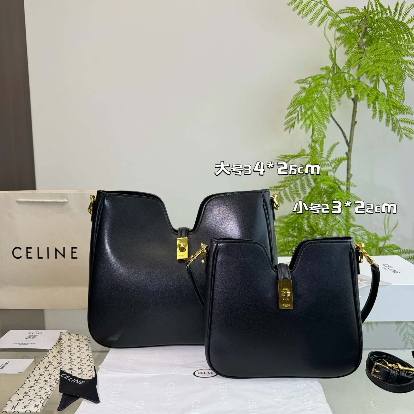 Celine Bag — 5f4acda1