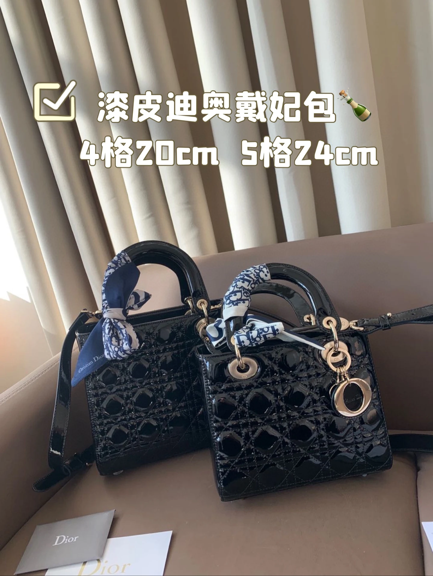 Dior Bag — ddfa1338