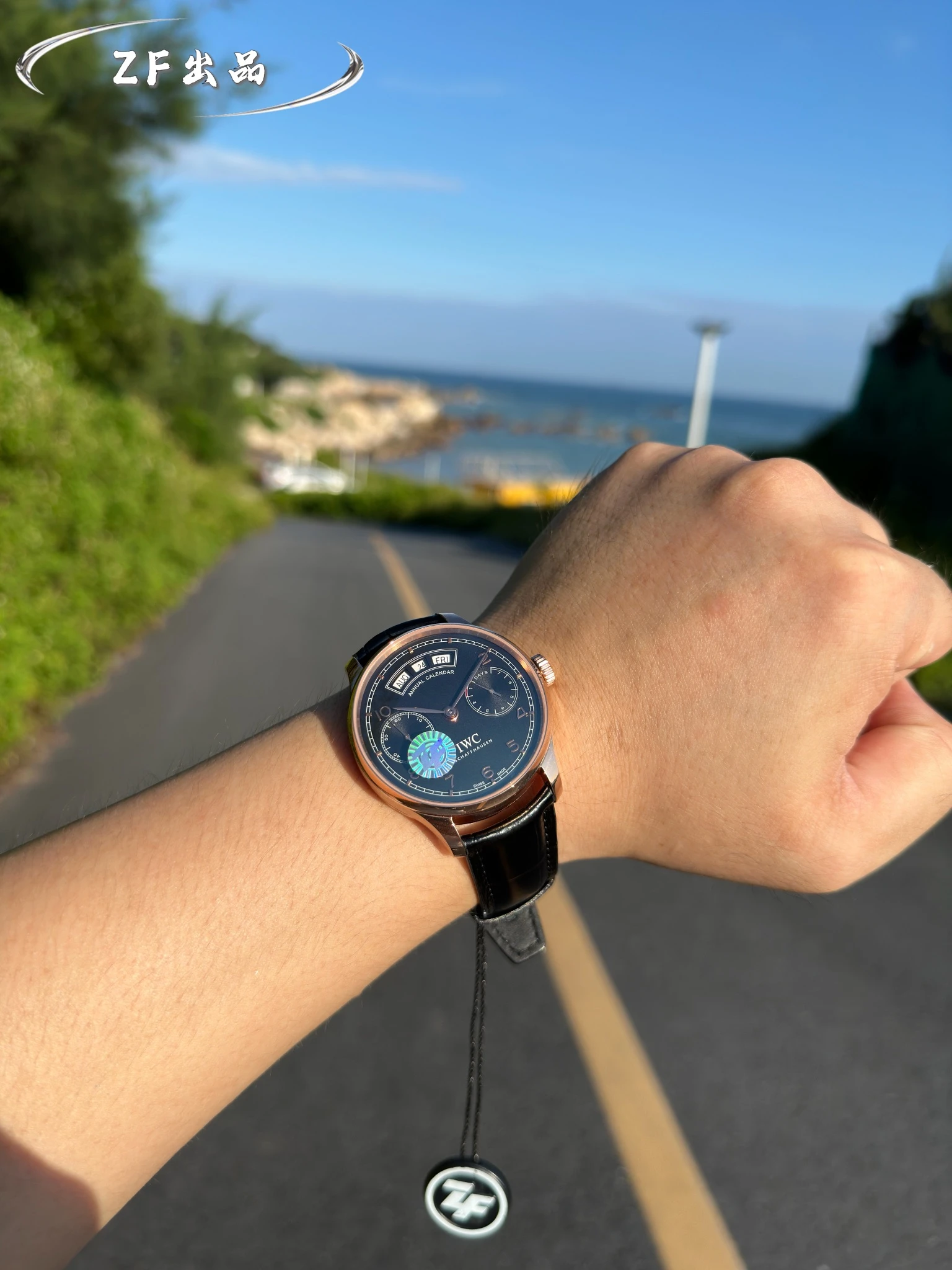 IWC Watch — 664616a3