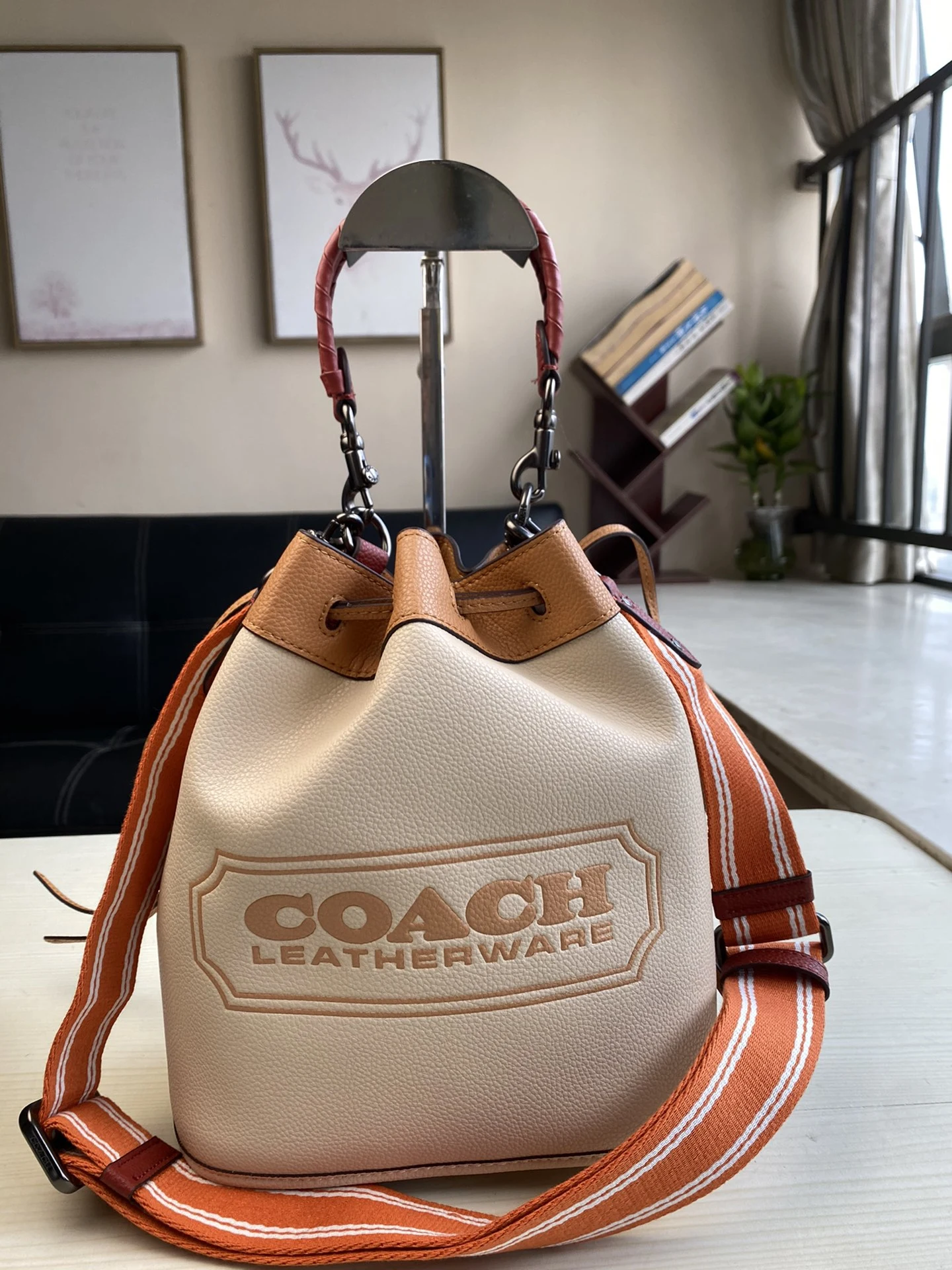 Coach Bag — ae5a0e2a