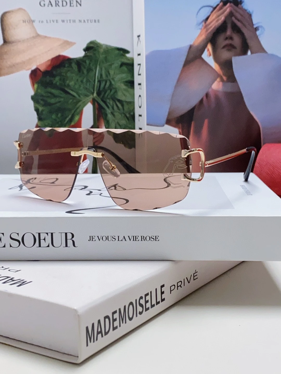 Cartier Eyewear — 312df7bc