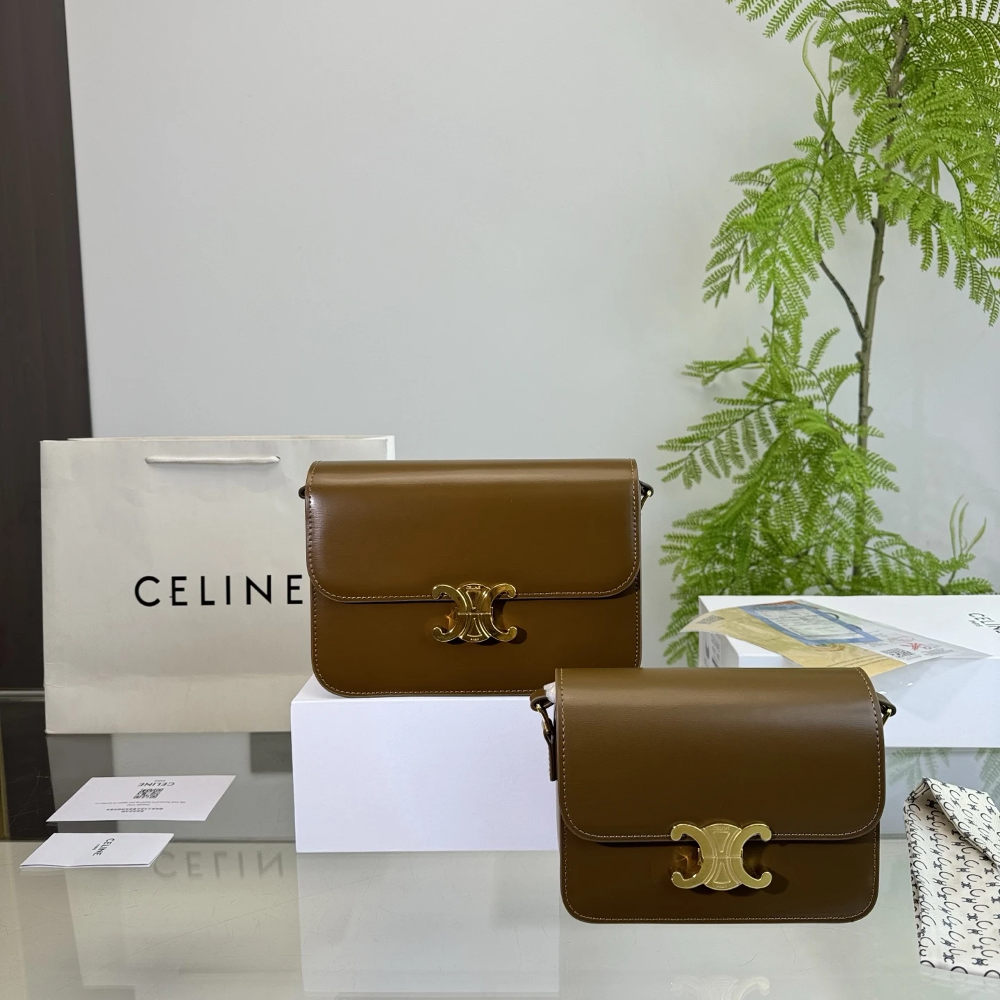 Celine Bag — d5f1a266