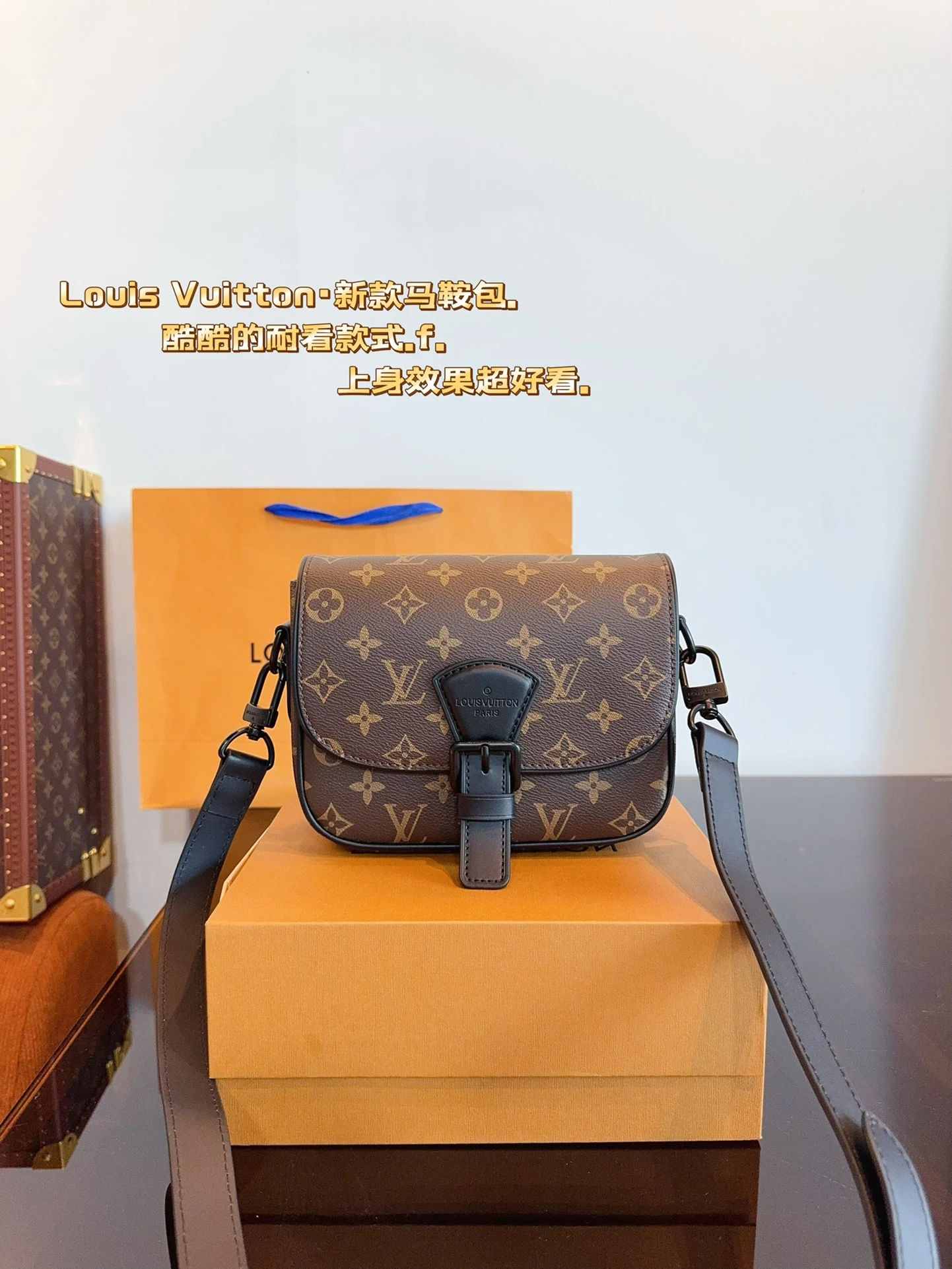 Louis Vuitton Bag — 20f9f416