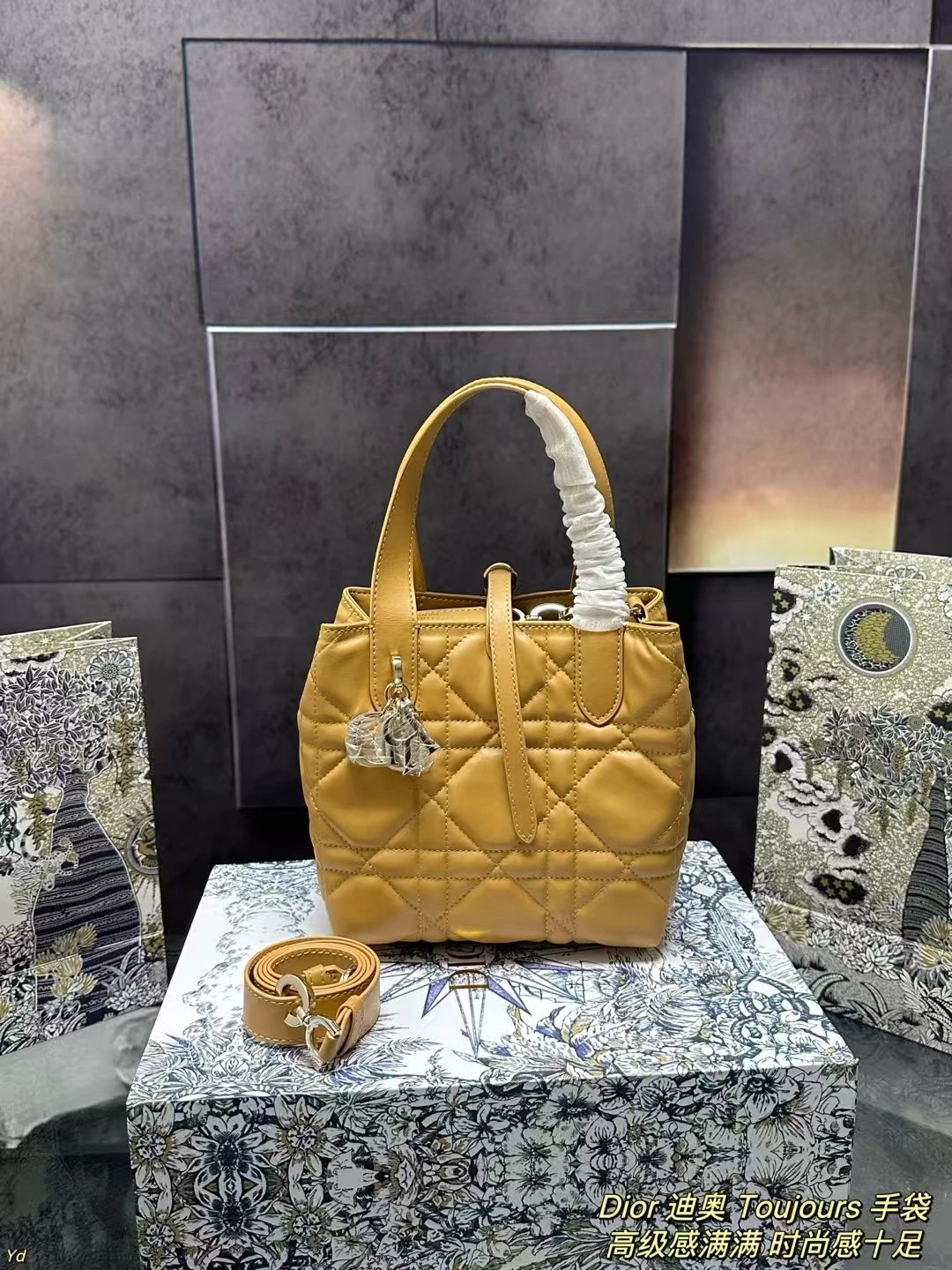 Dior Bag — f96422f3