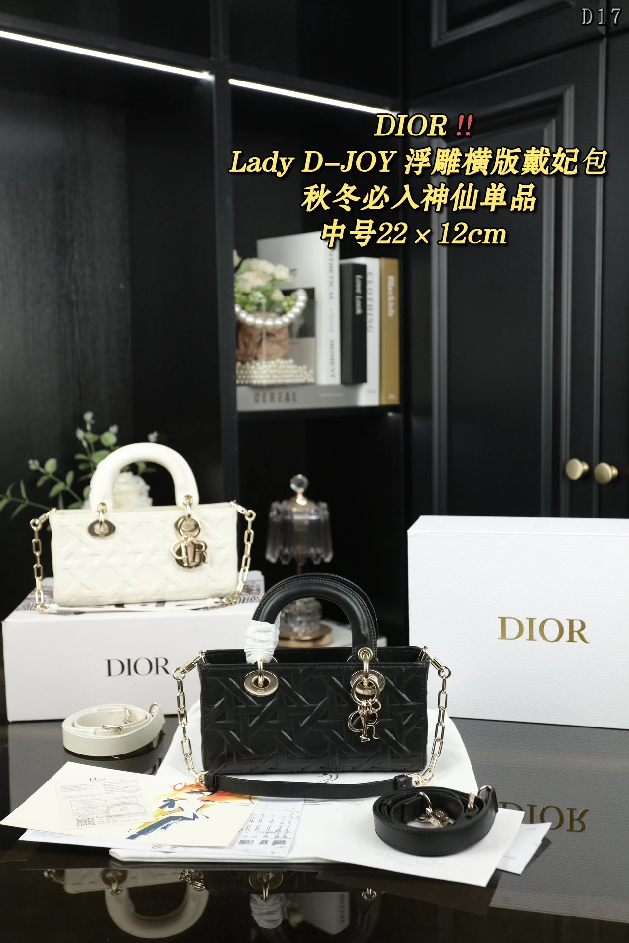 Dior Bag — 60e5c26c