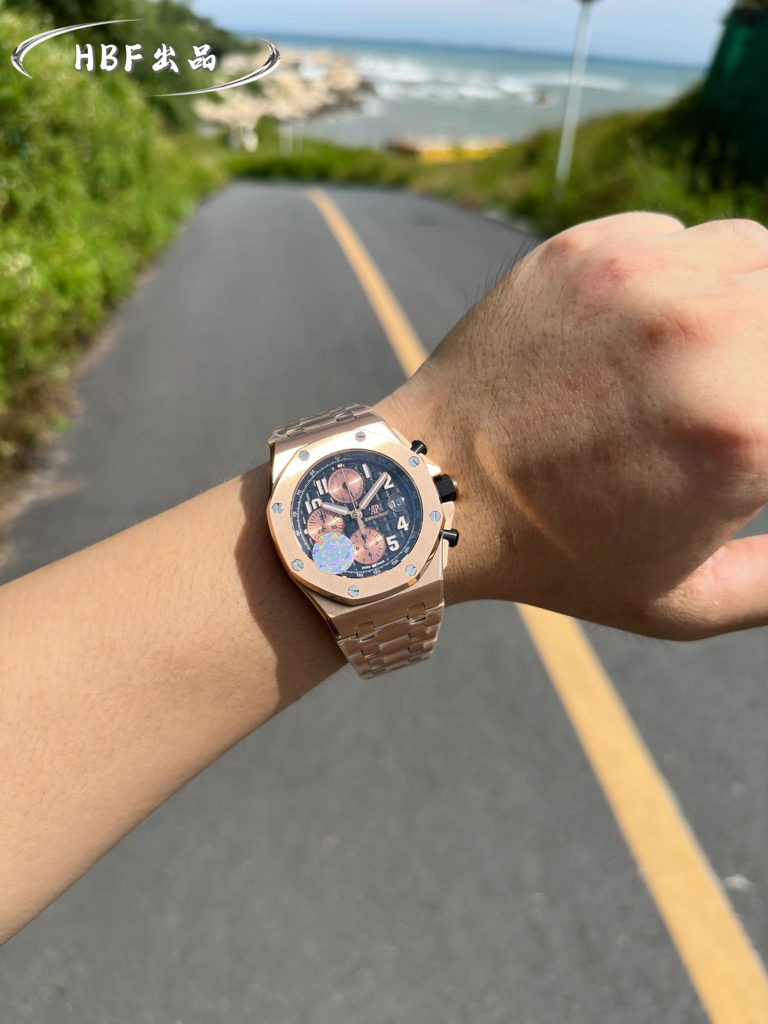 Audemars Piguet Watch — bea8d4f6