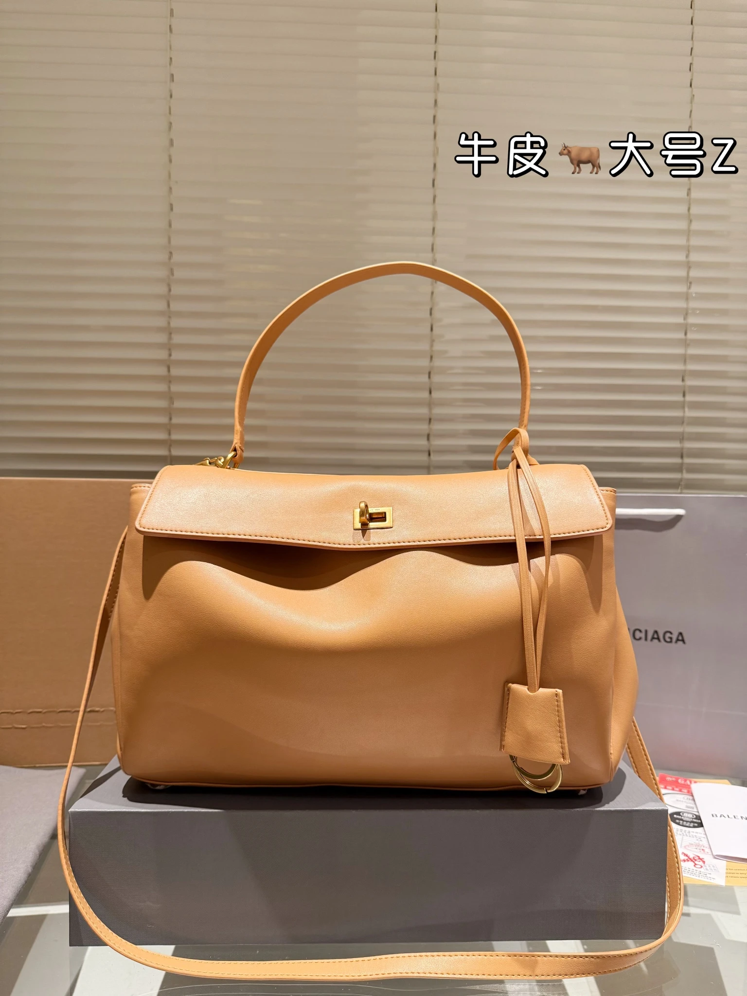 Balenciaga Bag — e49dd342
