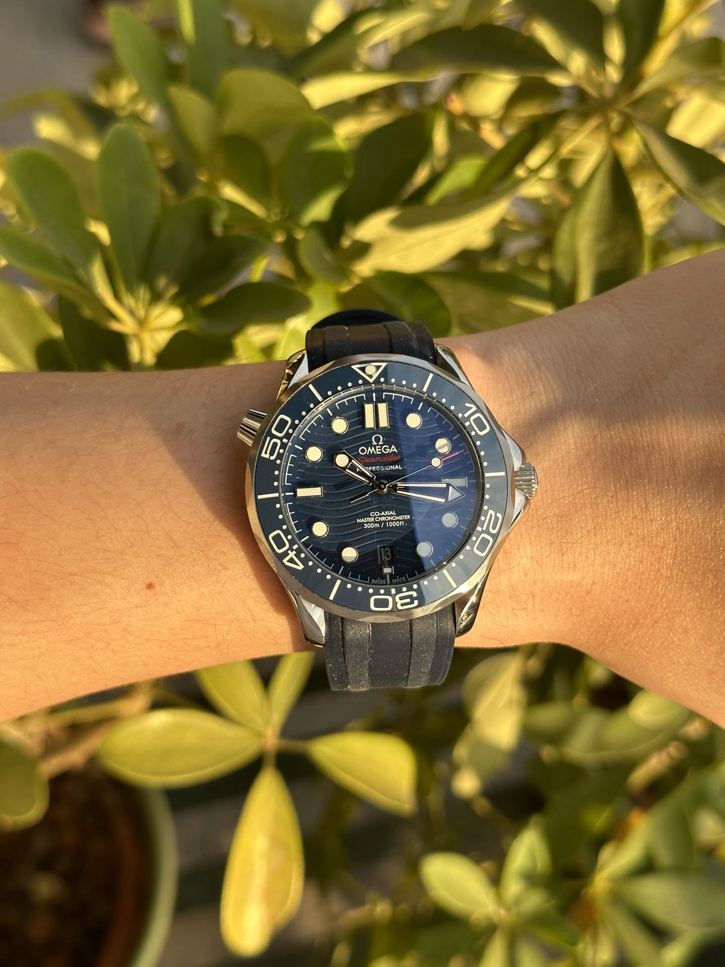 Omega Watch — 516f85ce