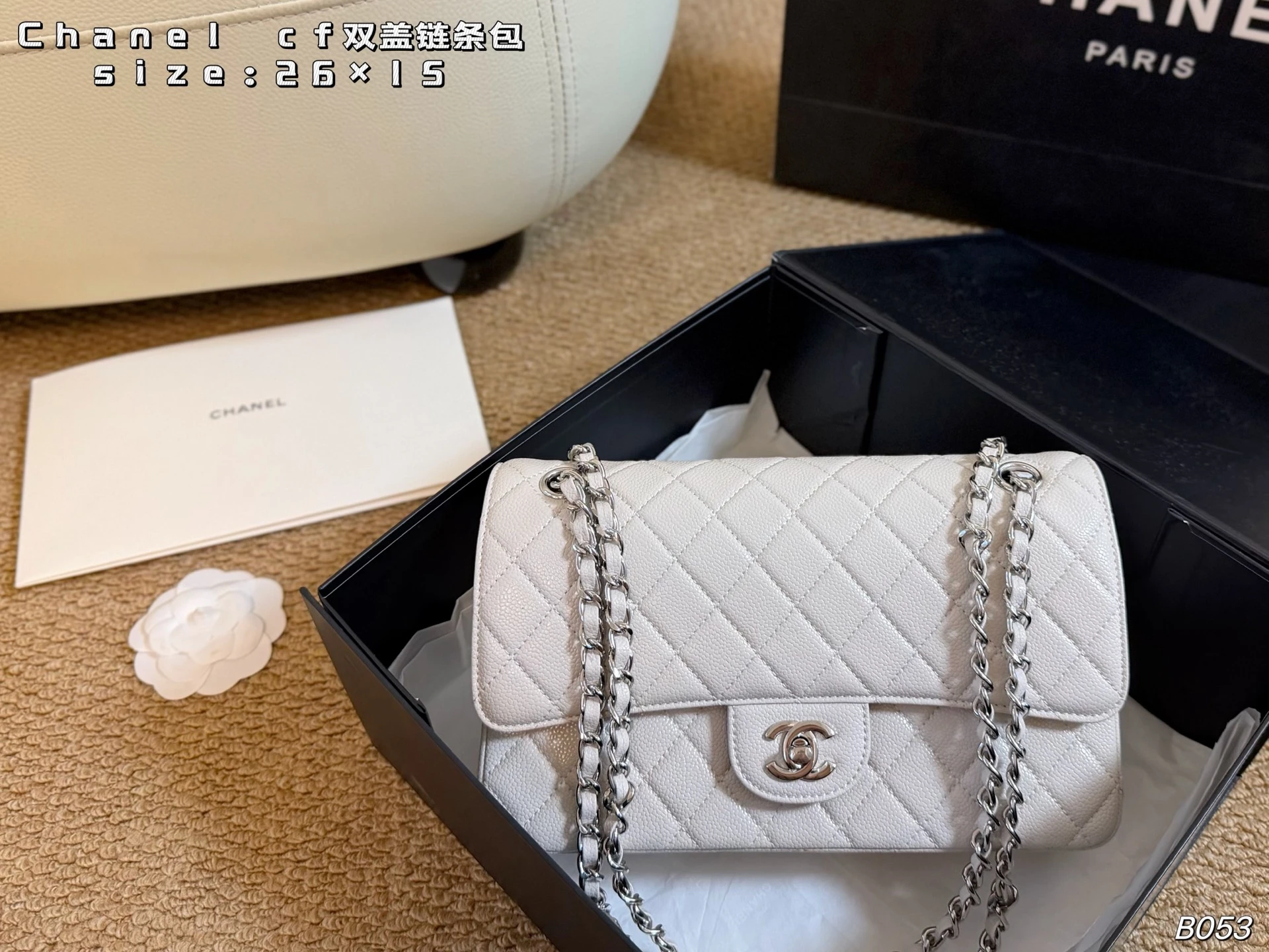 Chanel Bag — 14260c2e