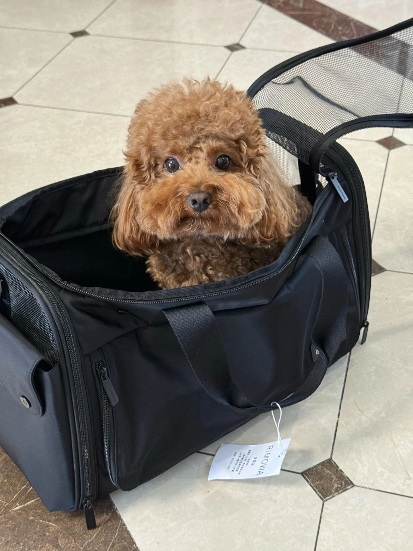Rimowa Luggage — e2eba999