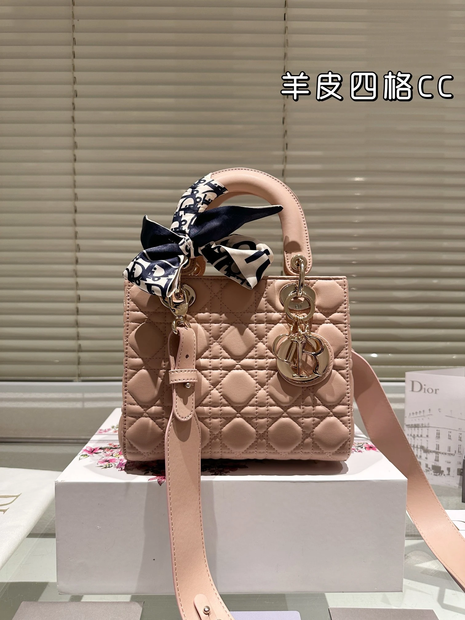 Dior Bag — 380e09d3