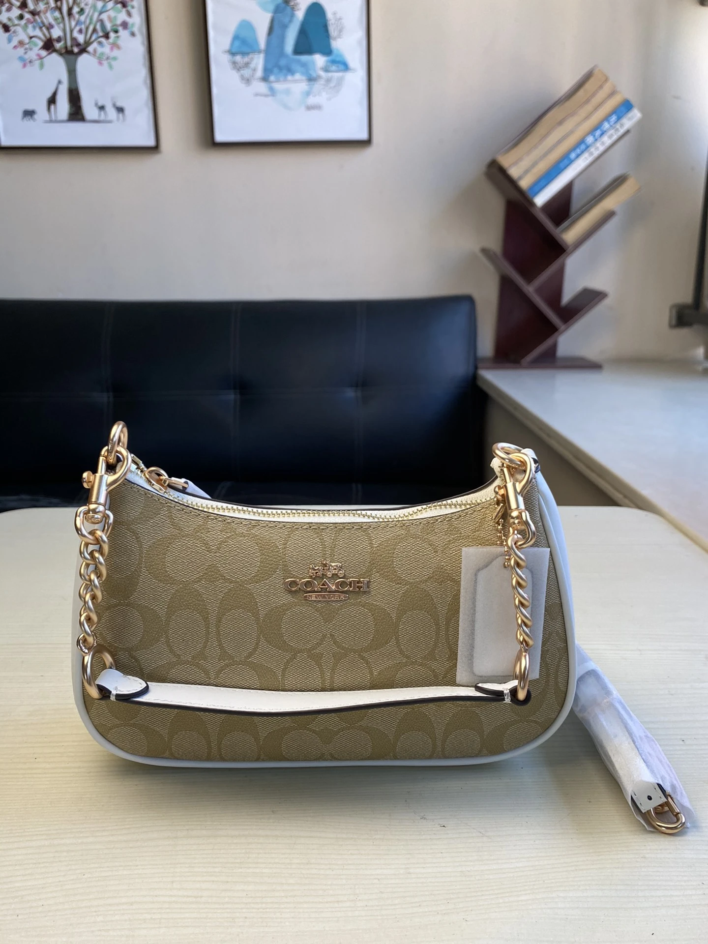 Coach Bag — c8529c95