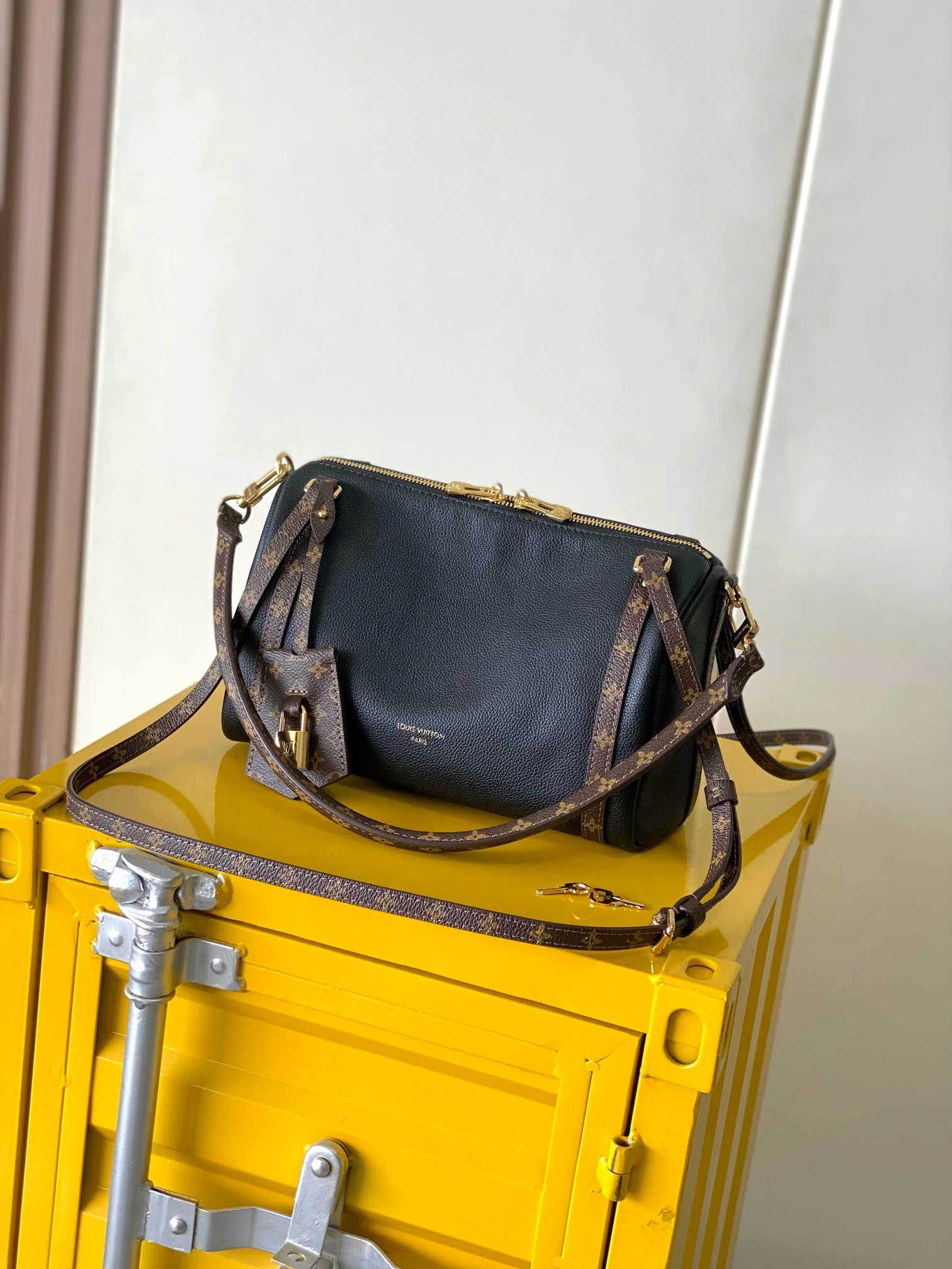 Louis Vuitton Bag — 4baa5069