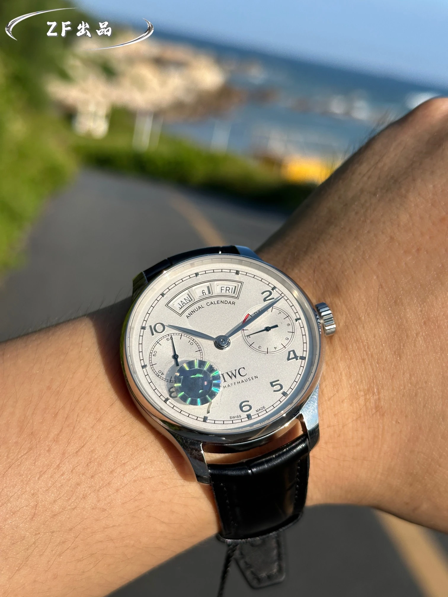 IWC Watch — 60ff00f0