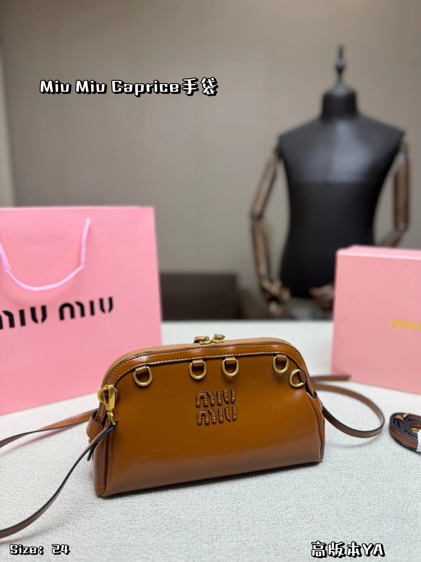 Miu Miu Bag — 5ebeebe4