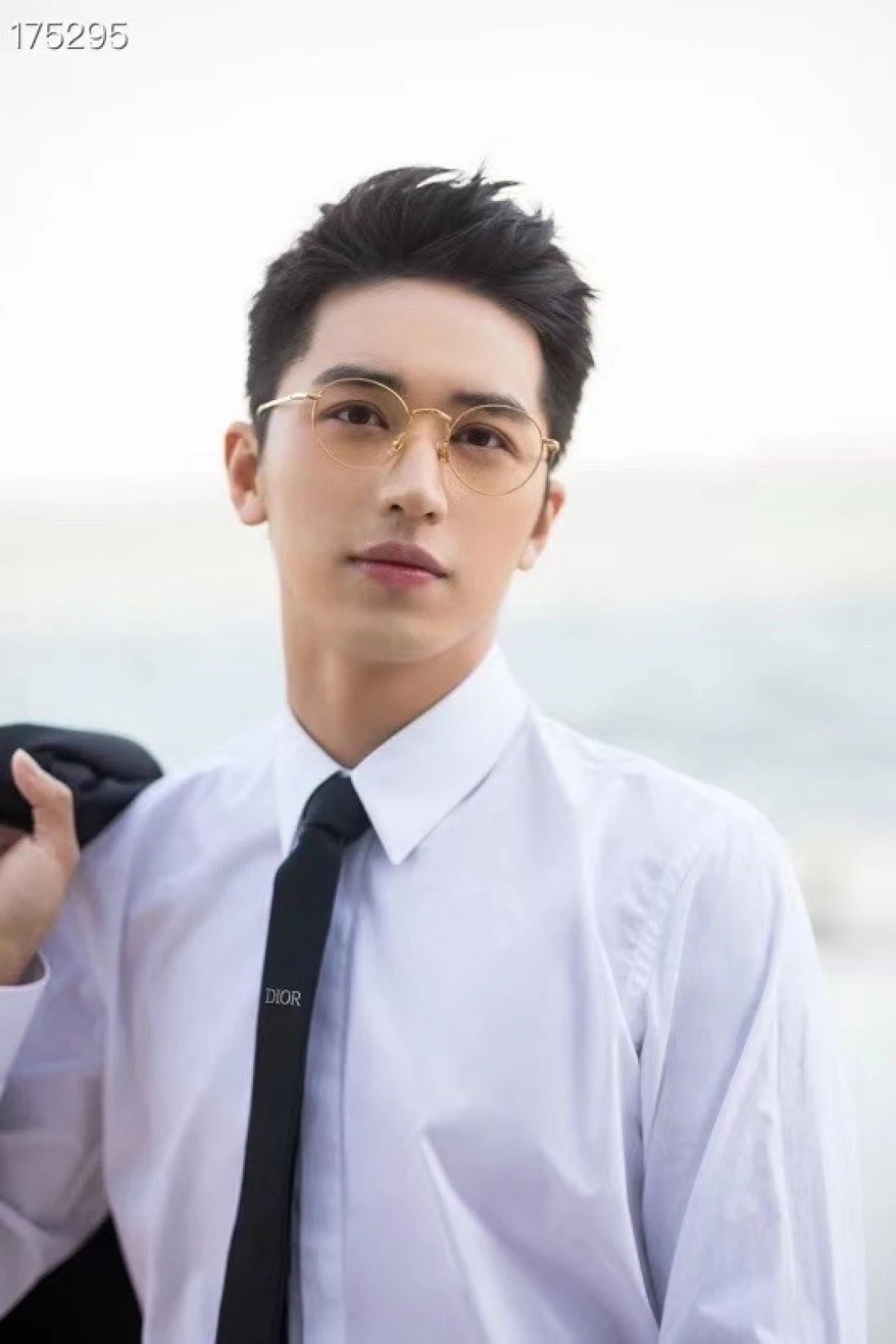 Dior Ties — d58e071e