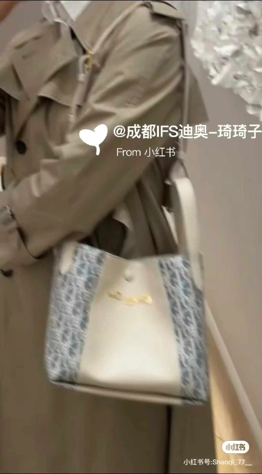 Dior Bag — f41fc8fb