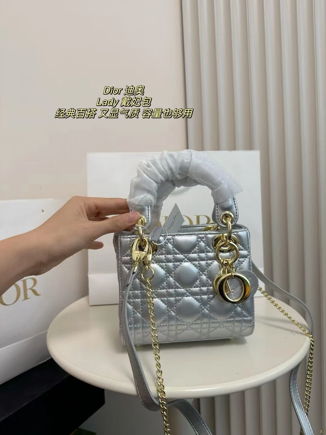 Dior Bag — e2757232