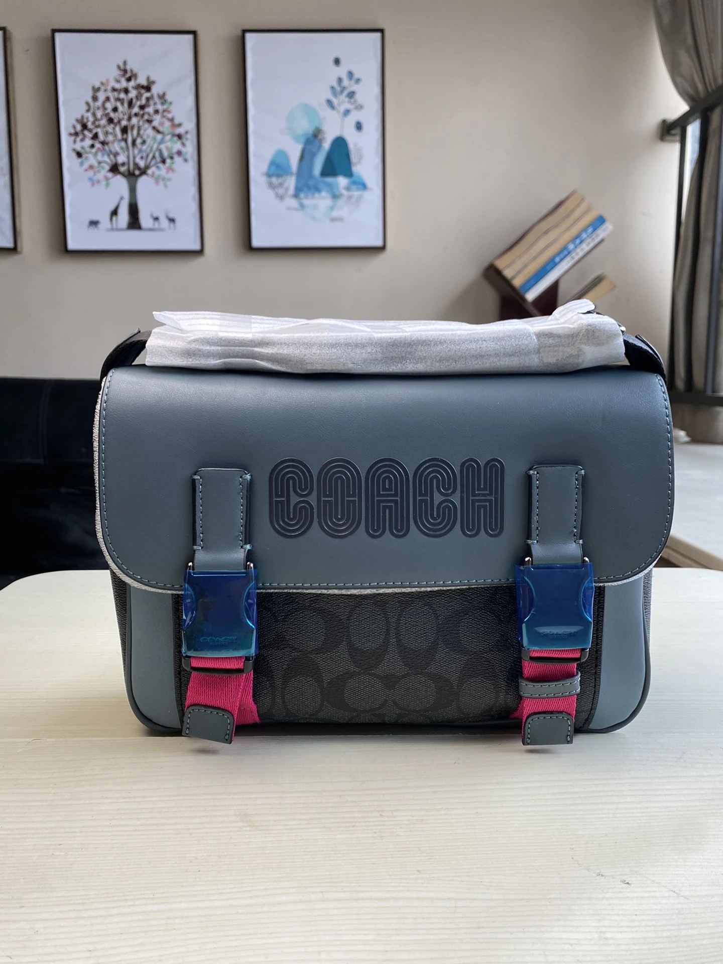 Coach Bag — c50e046a