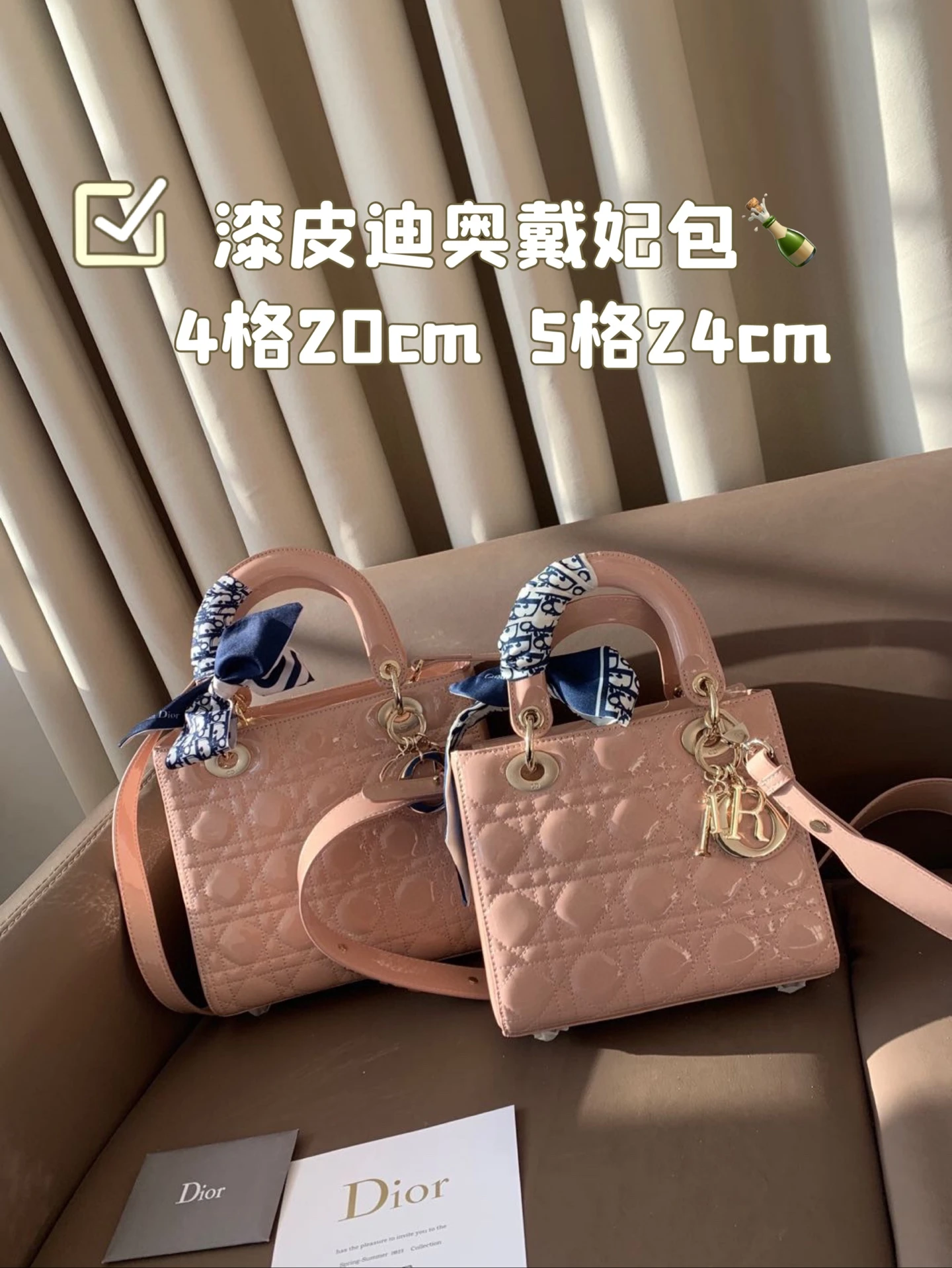 Dior Bag — 14c6726a