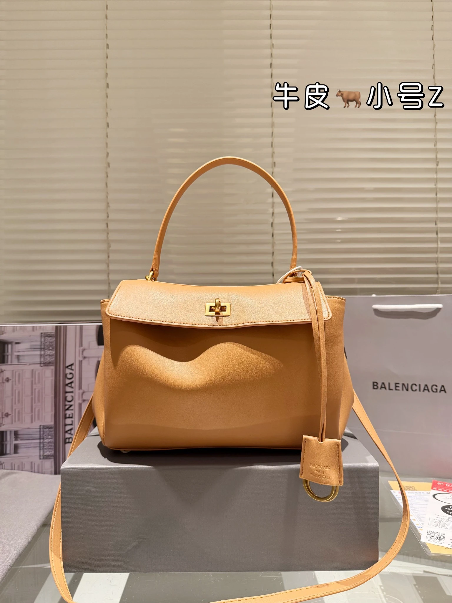 Balenciaga Bag — dc6f5919
