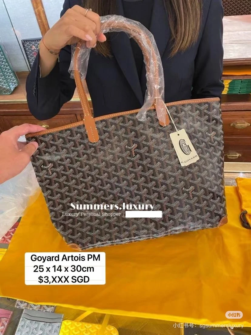 Goyard Bag — 2bec2953