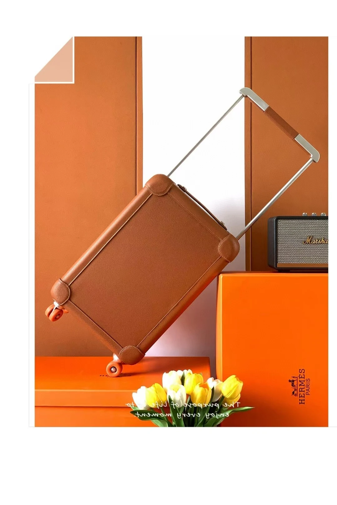 Luggage — 5c8d179c
