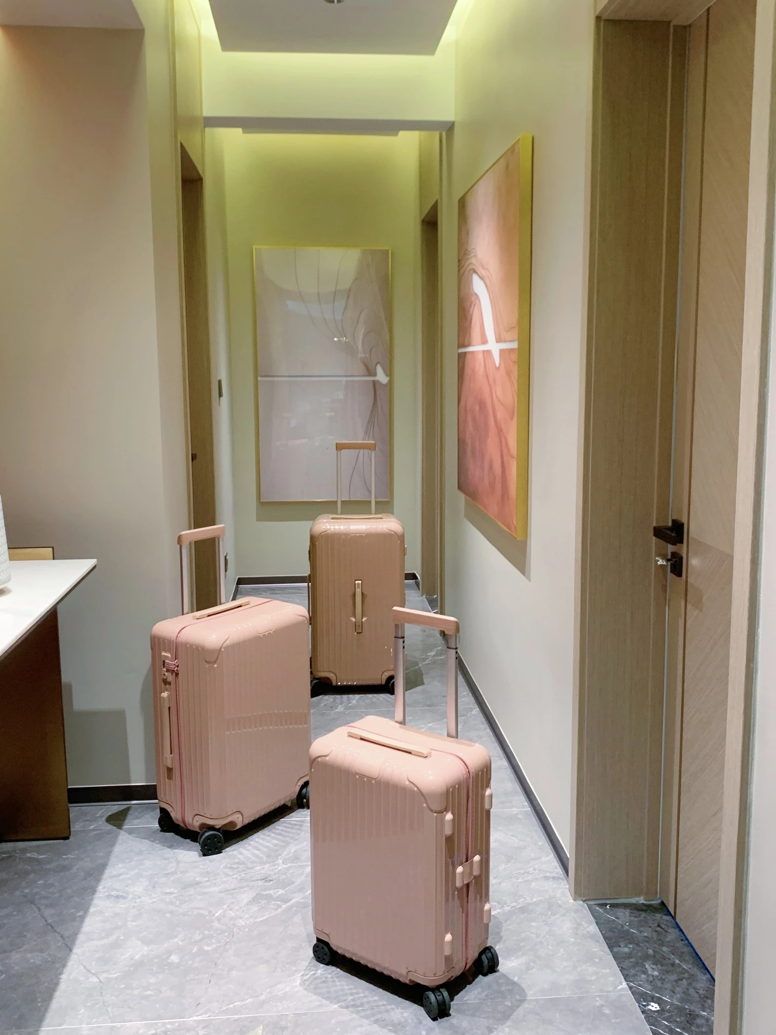 Luggage — 3147b668