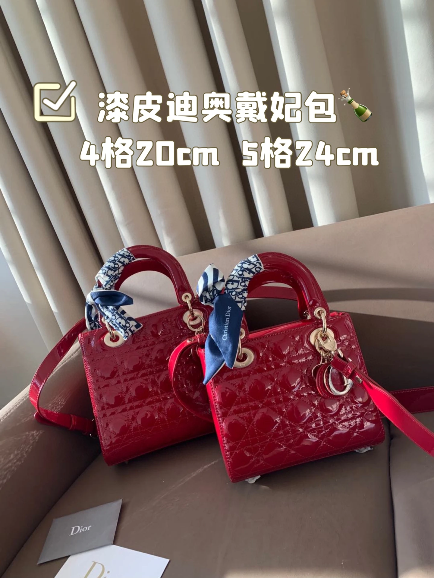 Dior Bag — 5aebcdb7