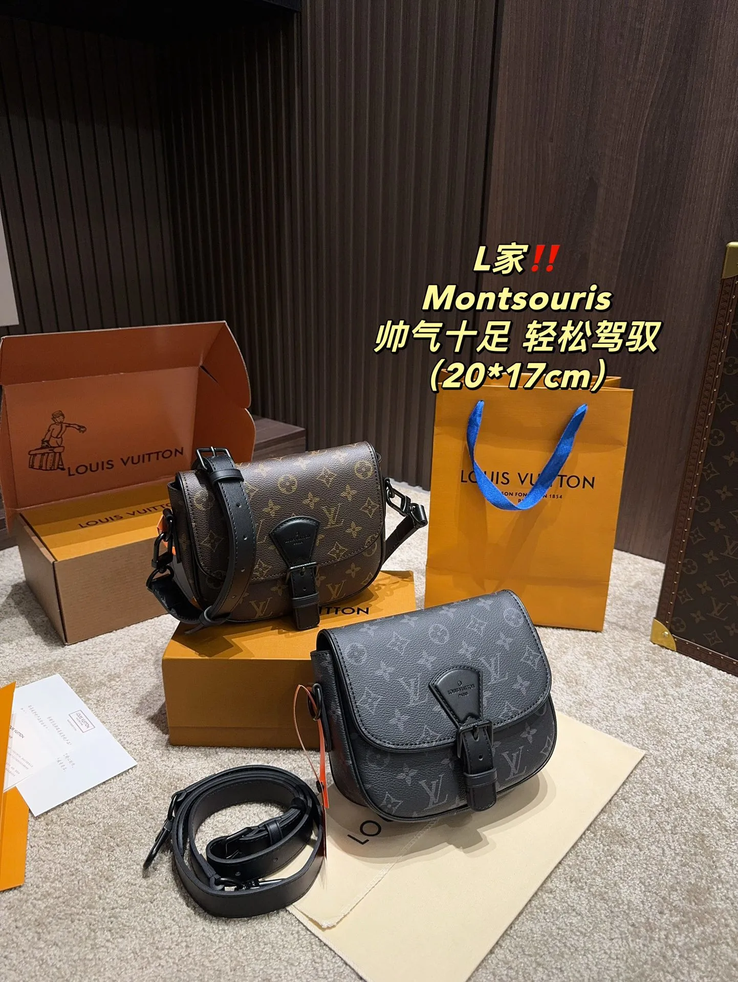 Louis Vuitton Bag — ea38ea6d