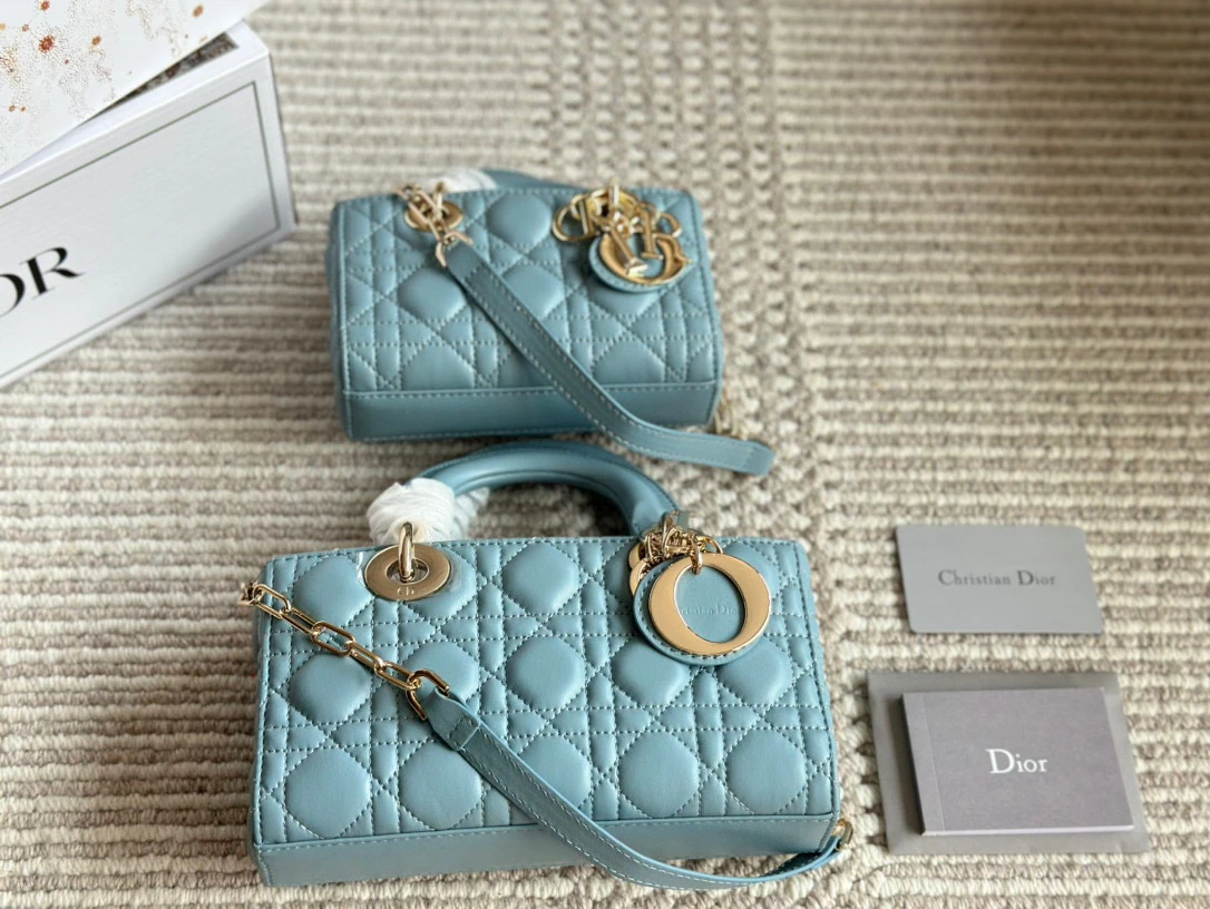 Dior Bag — b0dc9157