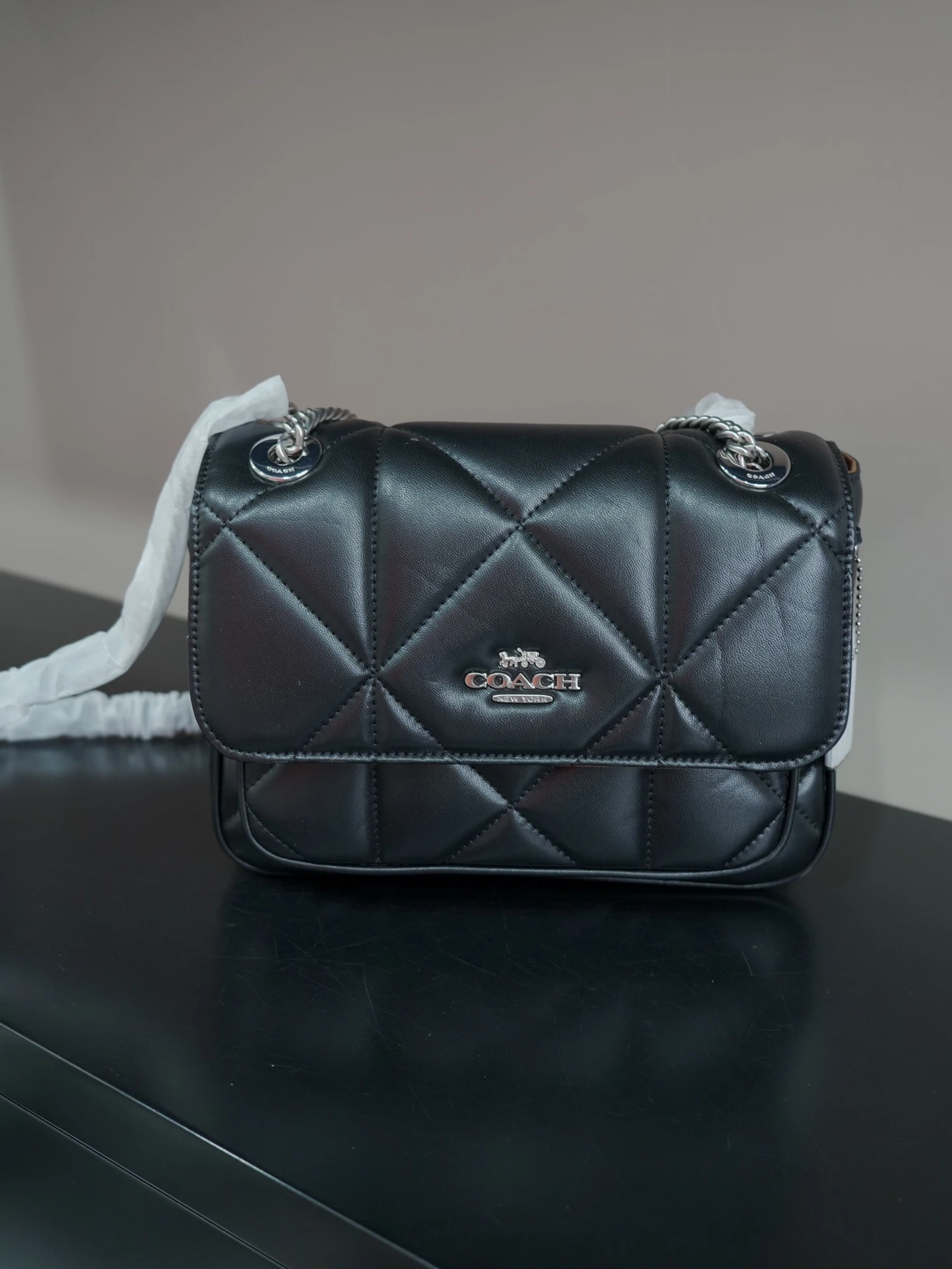 Coach Bag — 51173cad