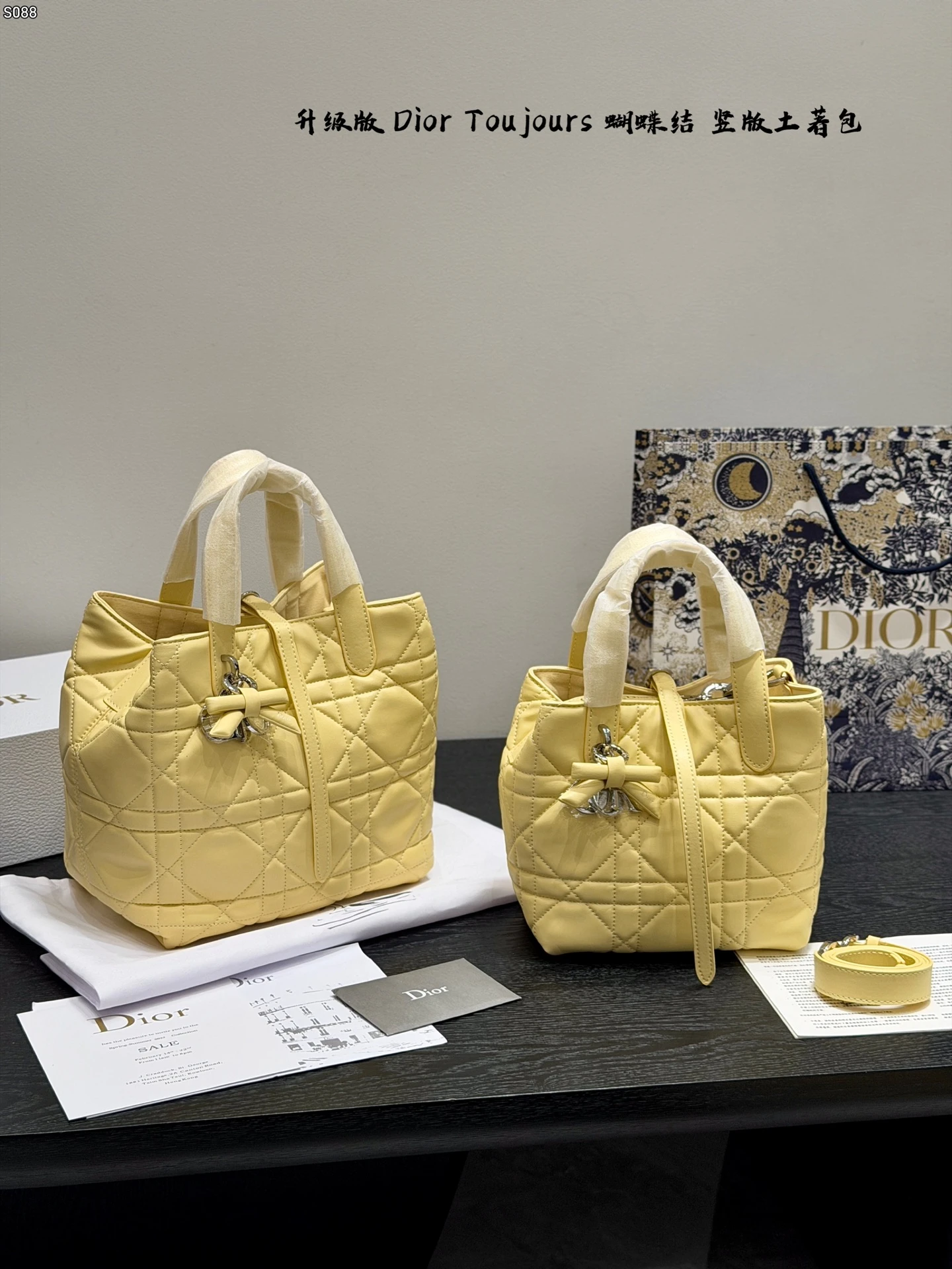 Dior Bag — 32479b37