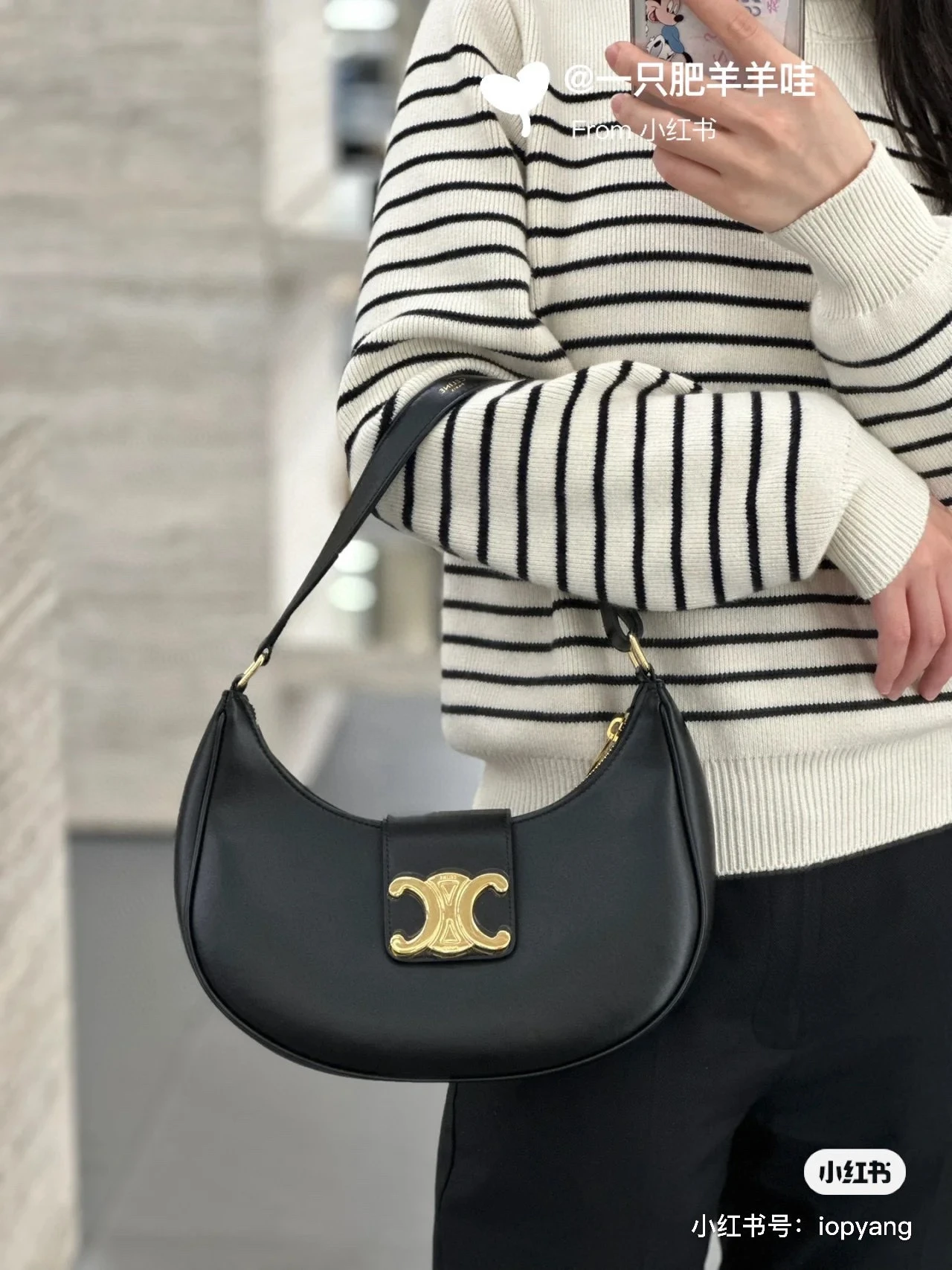 Celine Bag — 5ed43a13