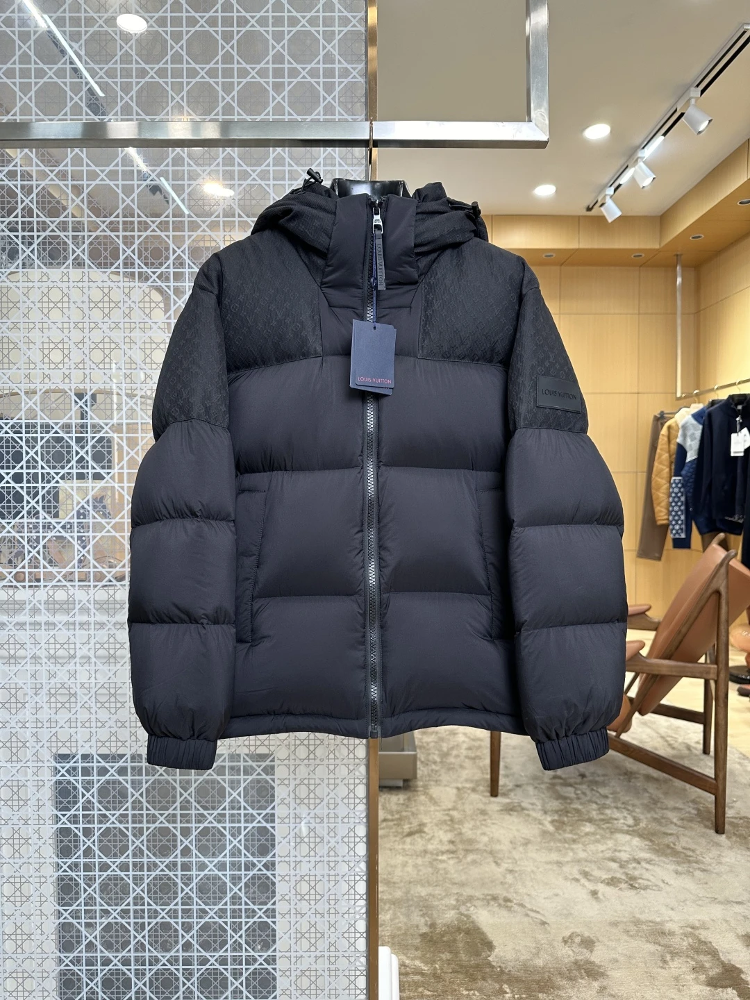 Louis Vuitton Down Jacket — 9a0ada1e