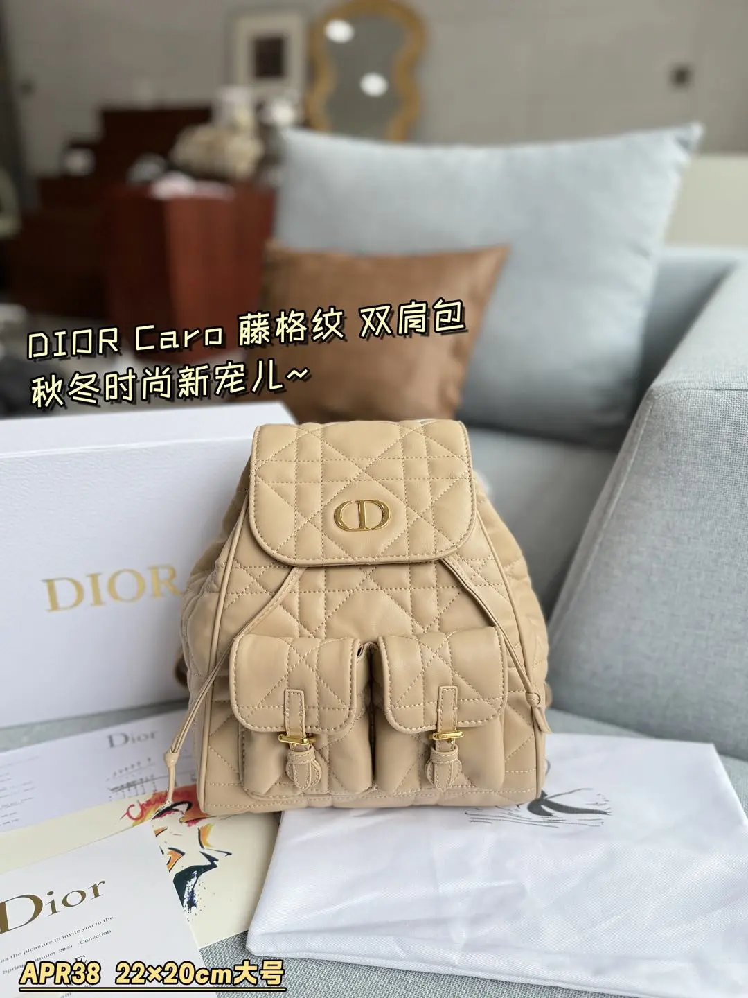 Dior Bag — 83f2d4c2