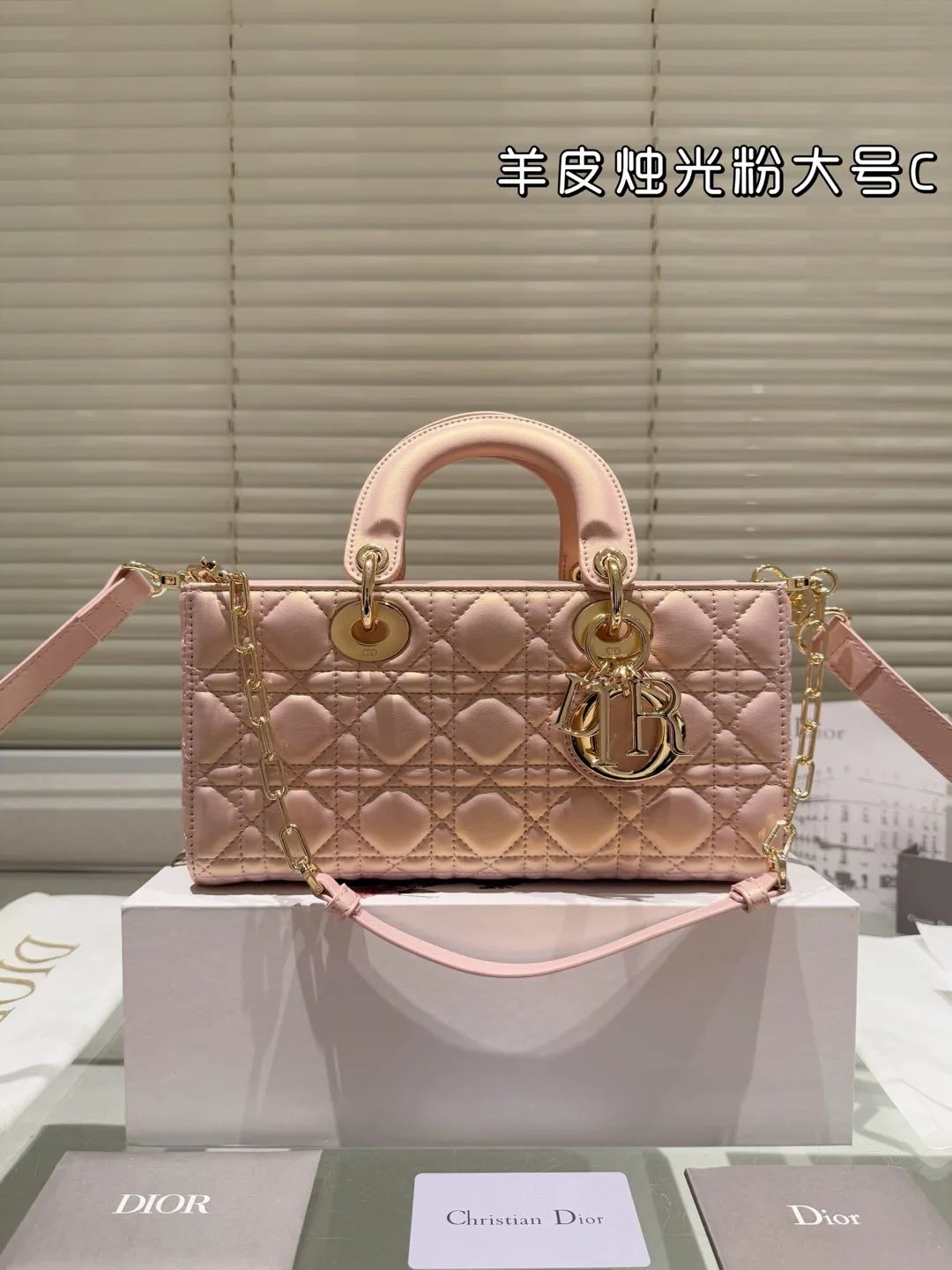 Dior Bag — a572be41