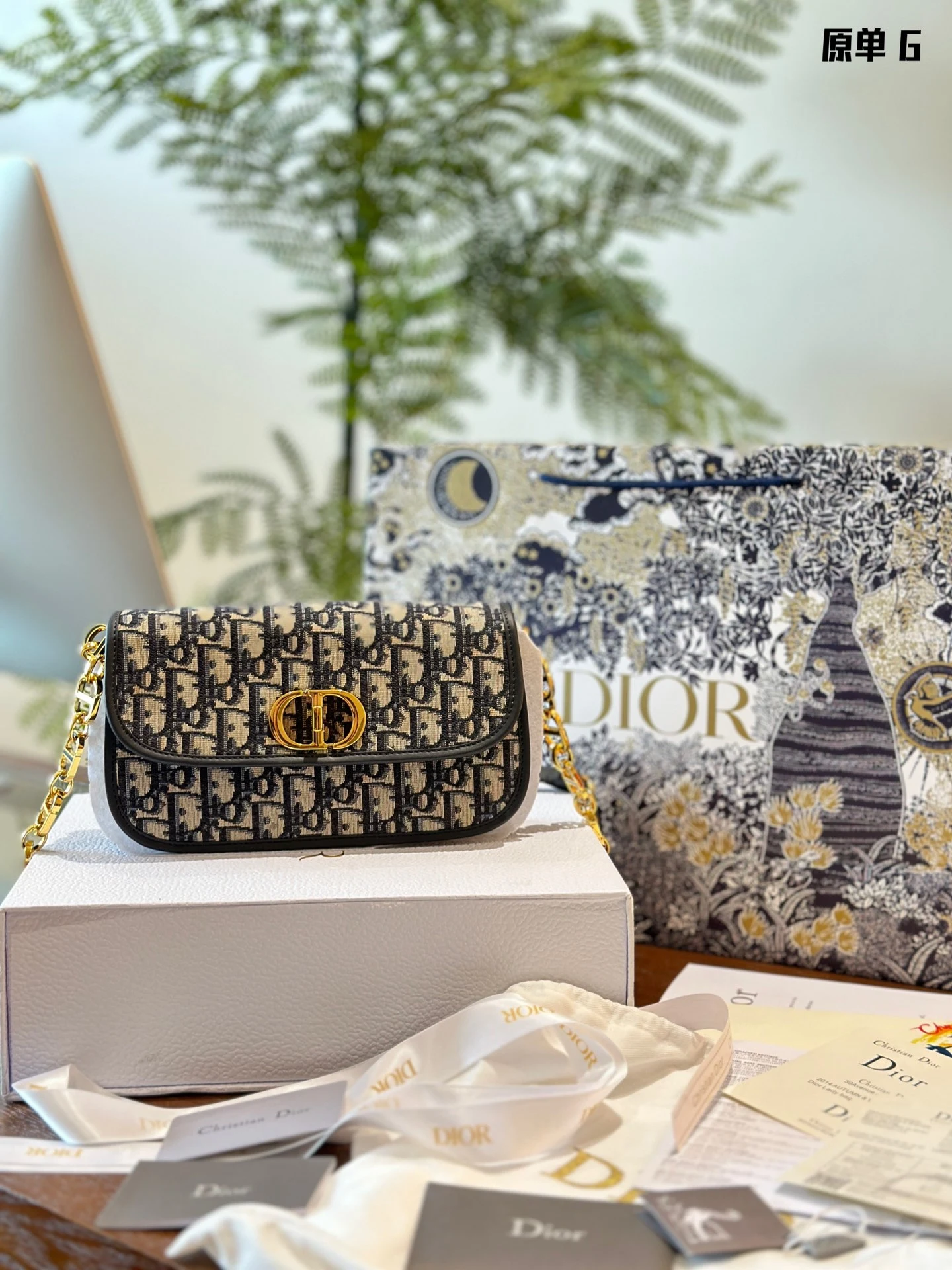 Dior Bag — 5f731578